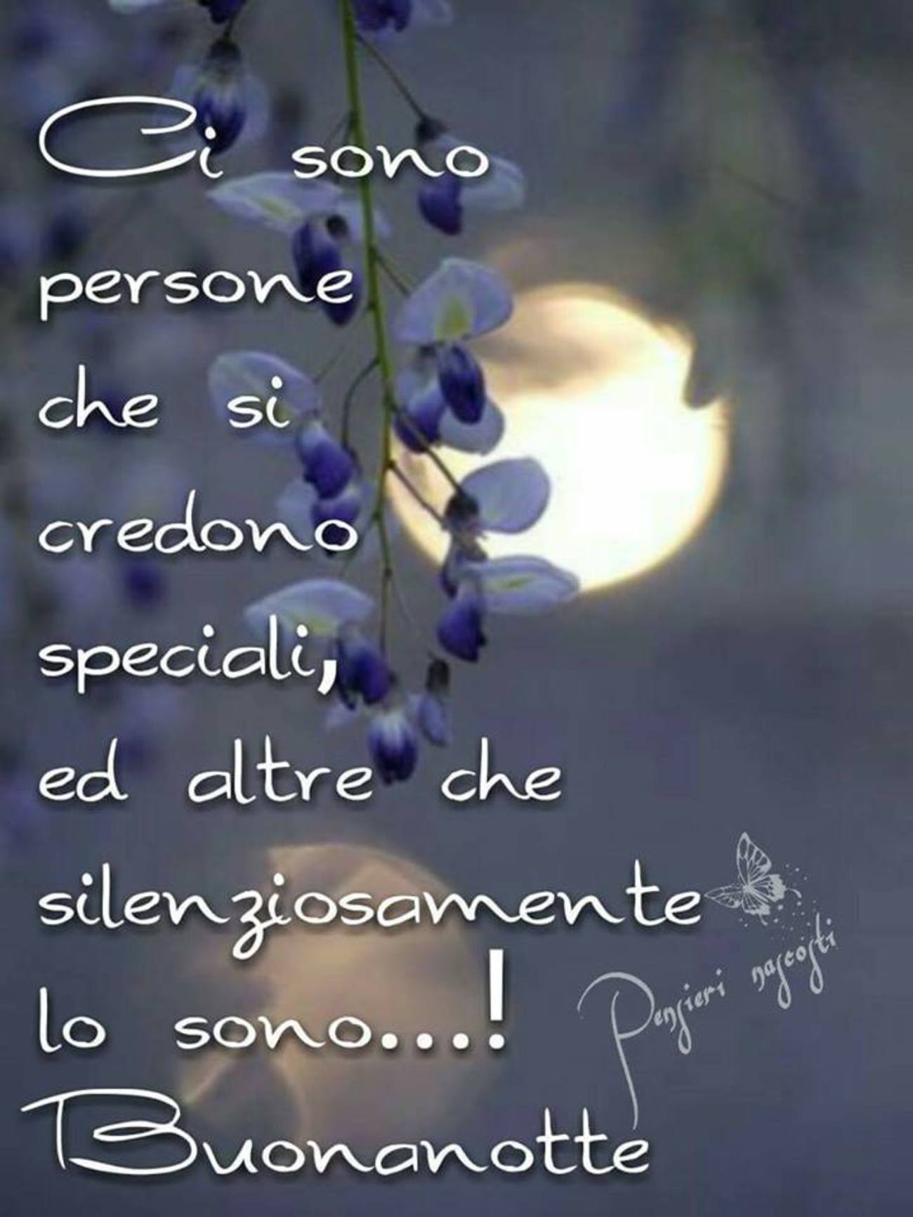 Buonanotte con dedicca