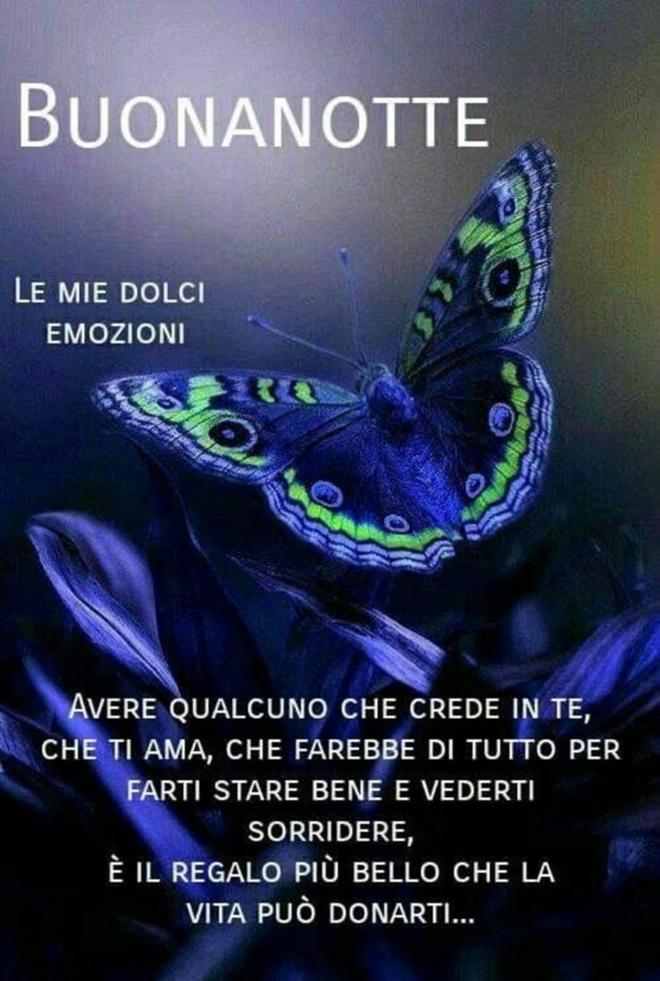 Buonanotte con frasi bellissime (12)