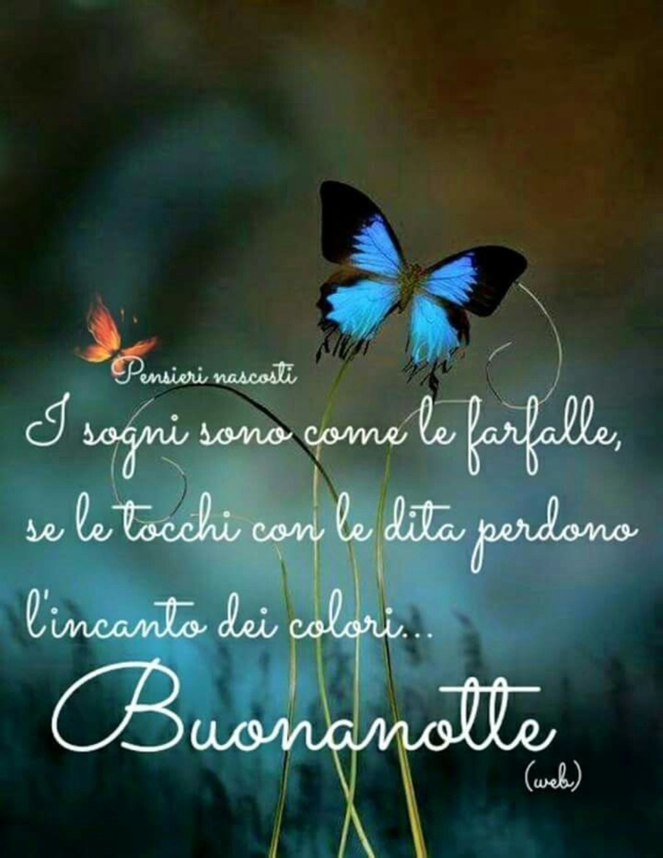 Buonanotte con frasi bellissime (2)