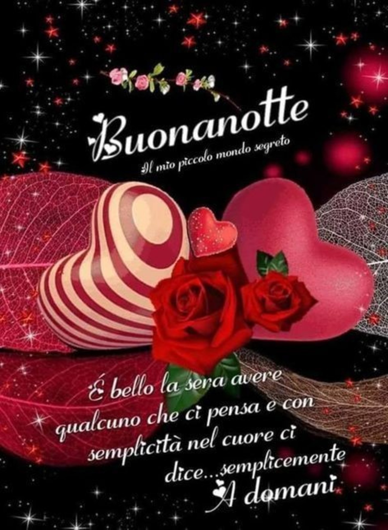 Buonanotte con frasi bellissime (3)