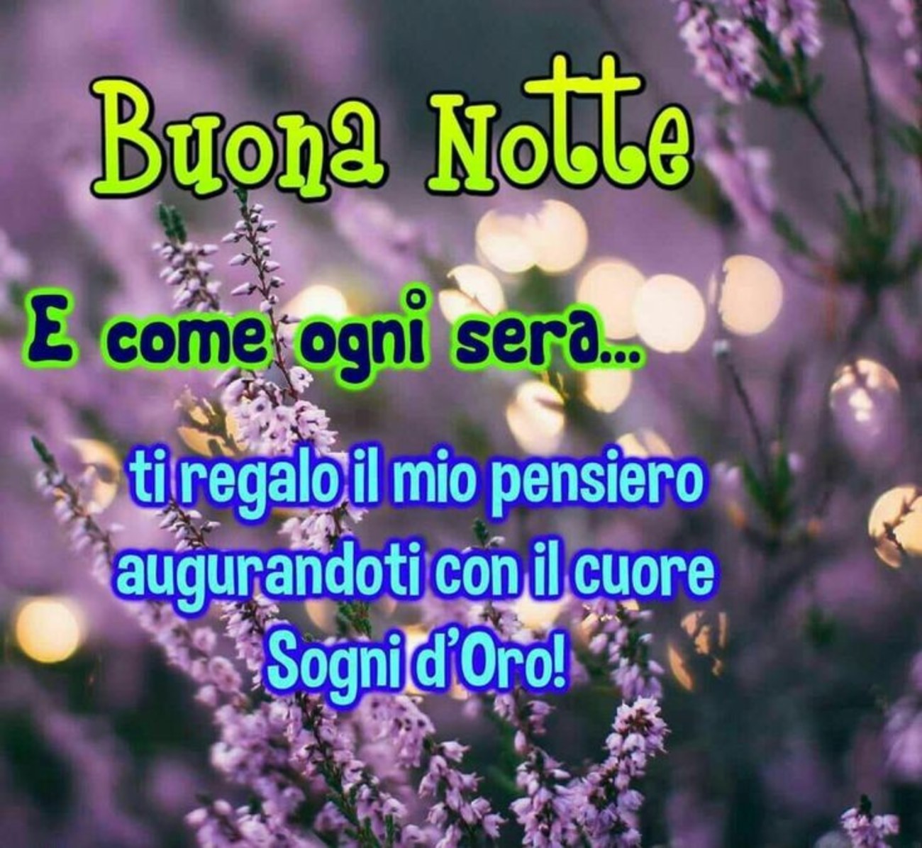 Buonanotte con frasi bellissime (5)