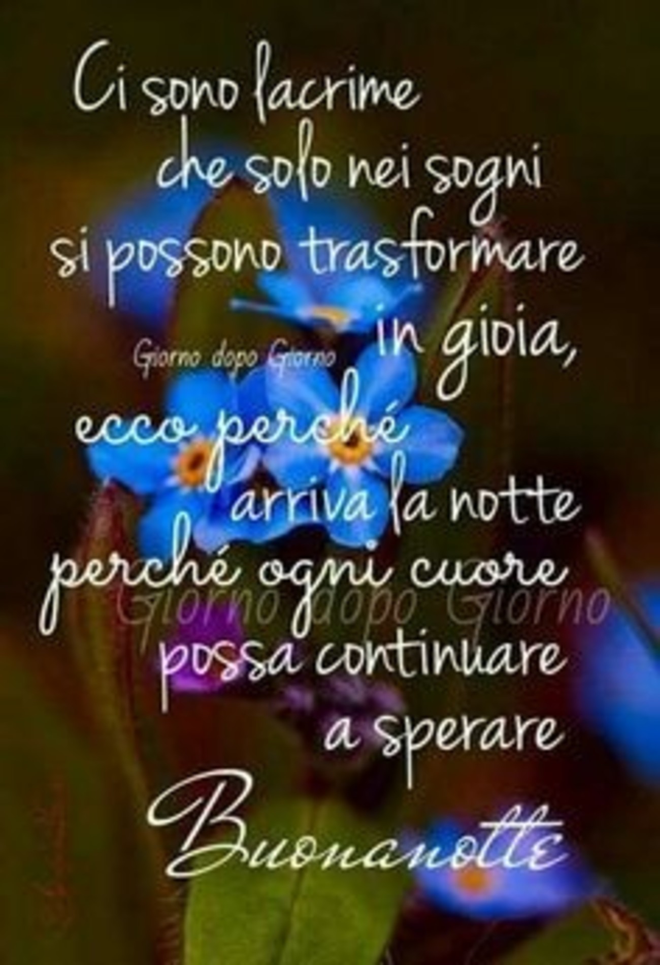 Buonanotte con frasi bellissime