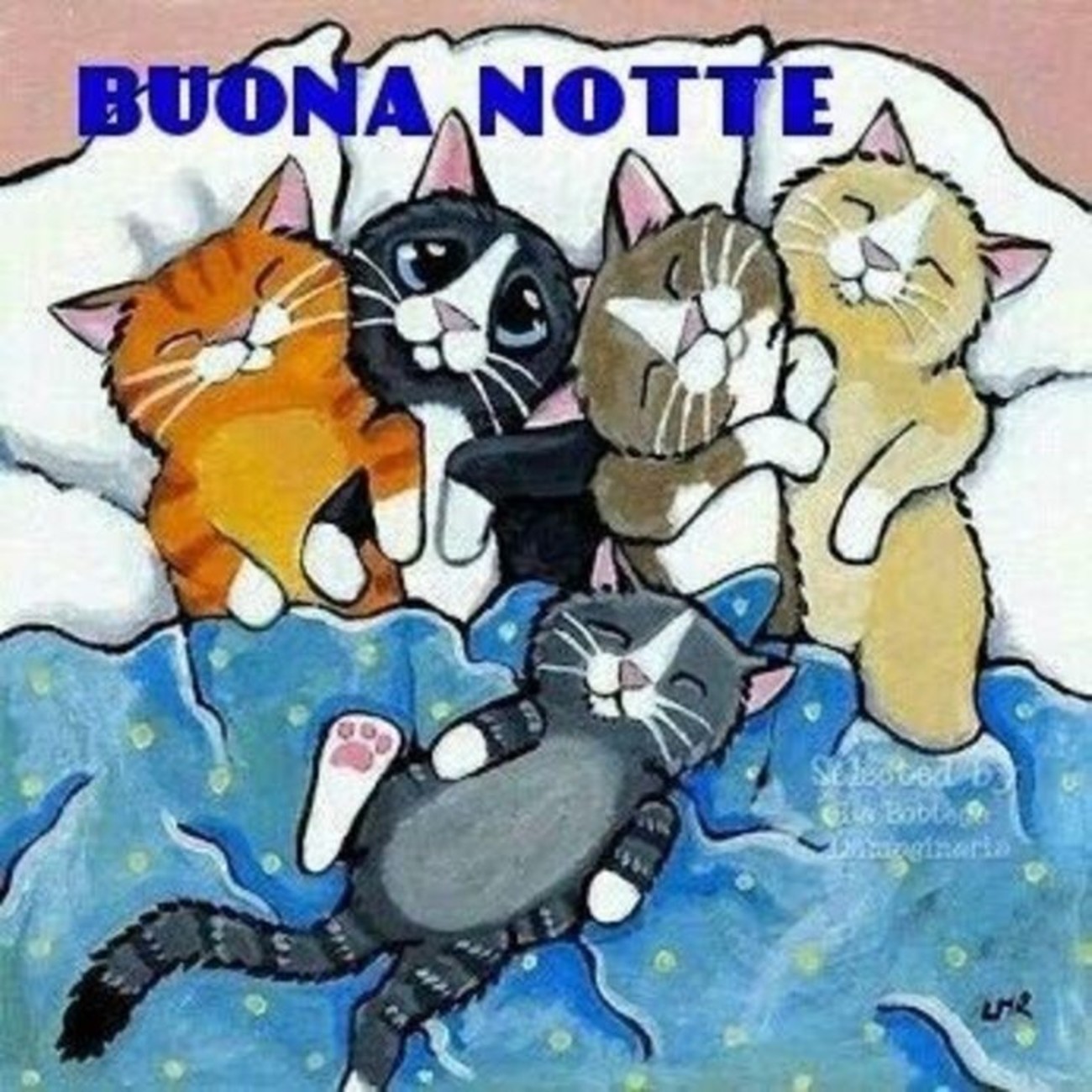 Buonanotte con gatti