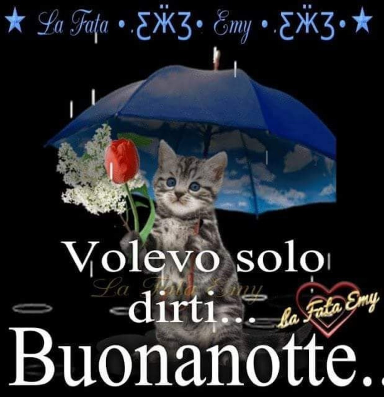 Buonanotte con gatto (3)