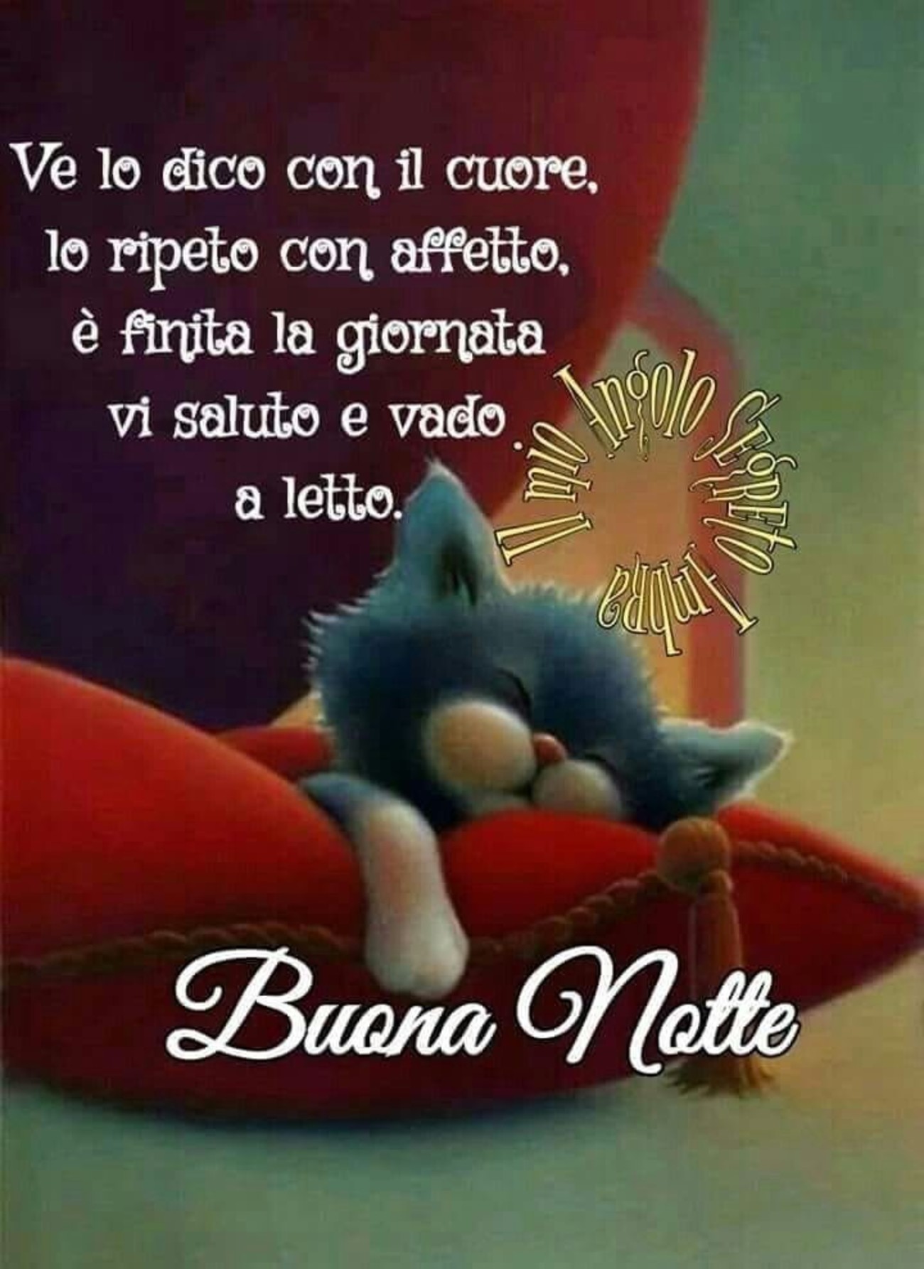 Buonanotte con gatto