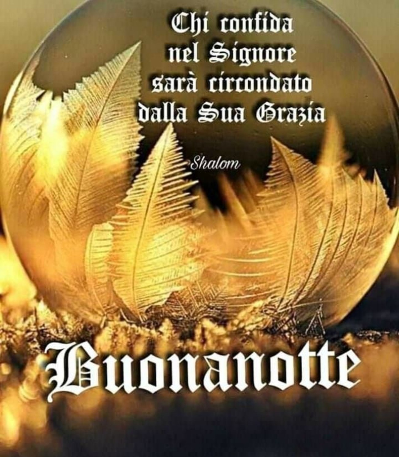 Buonanotte con il Signore (6)