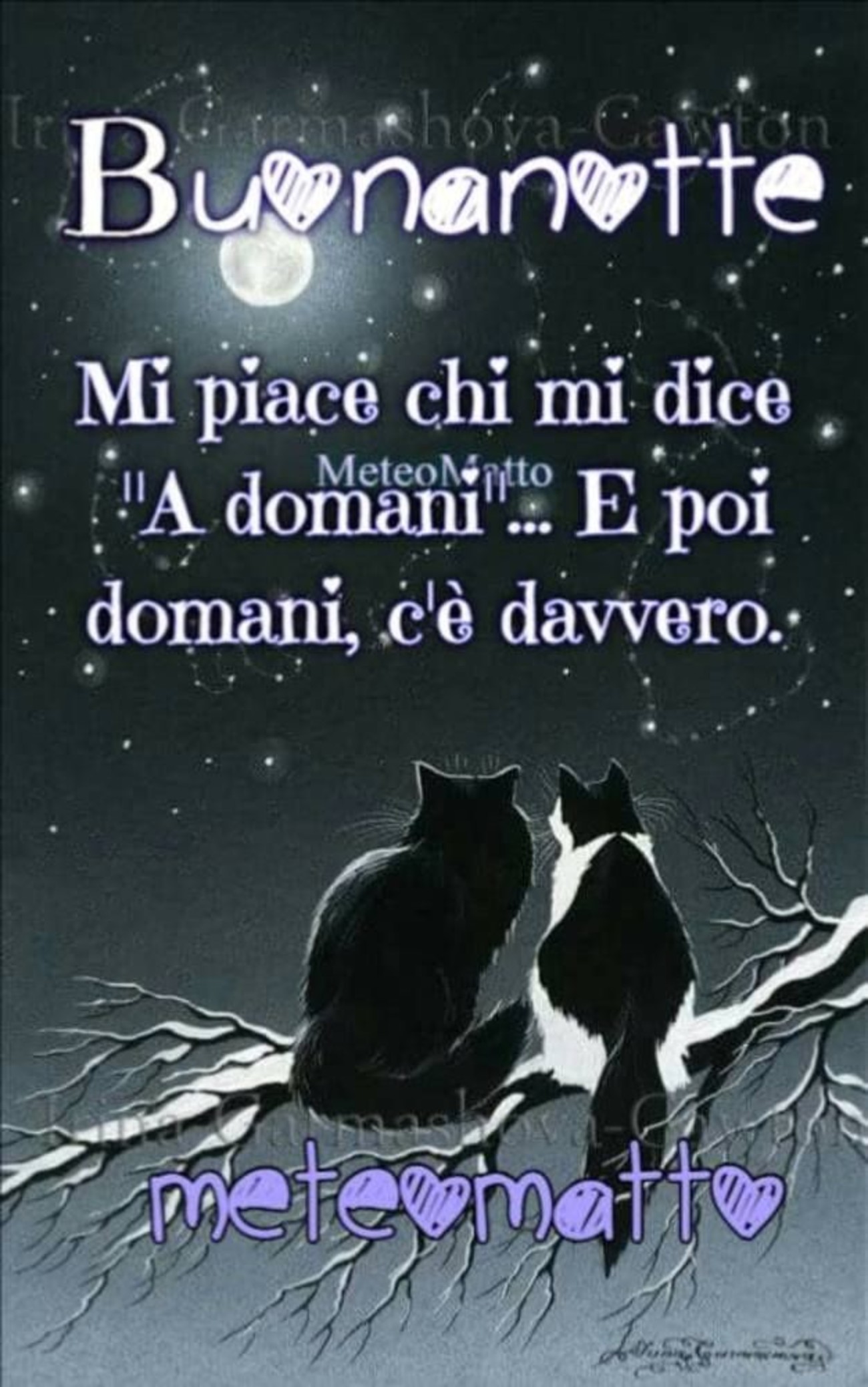 Buonanotte frasi immagini