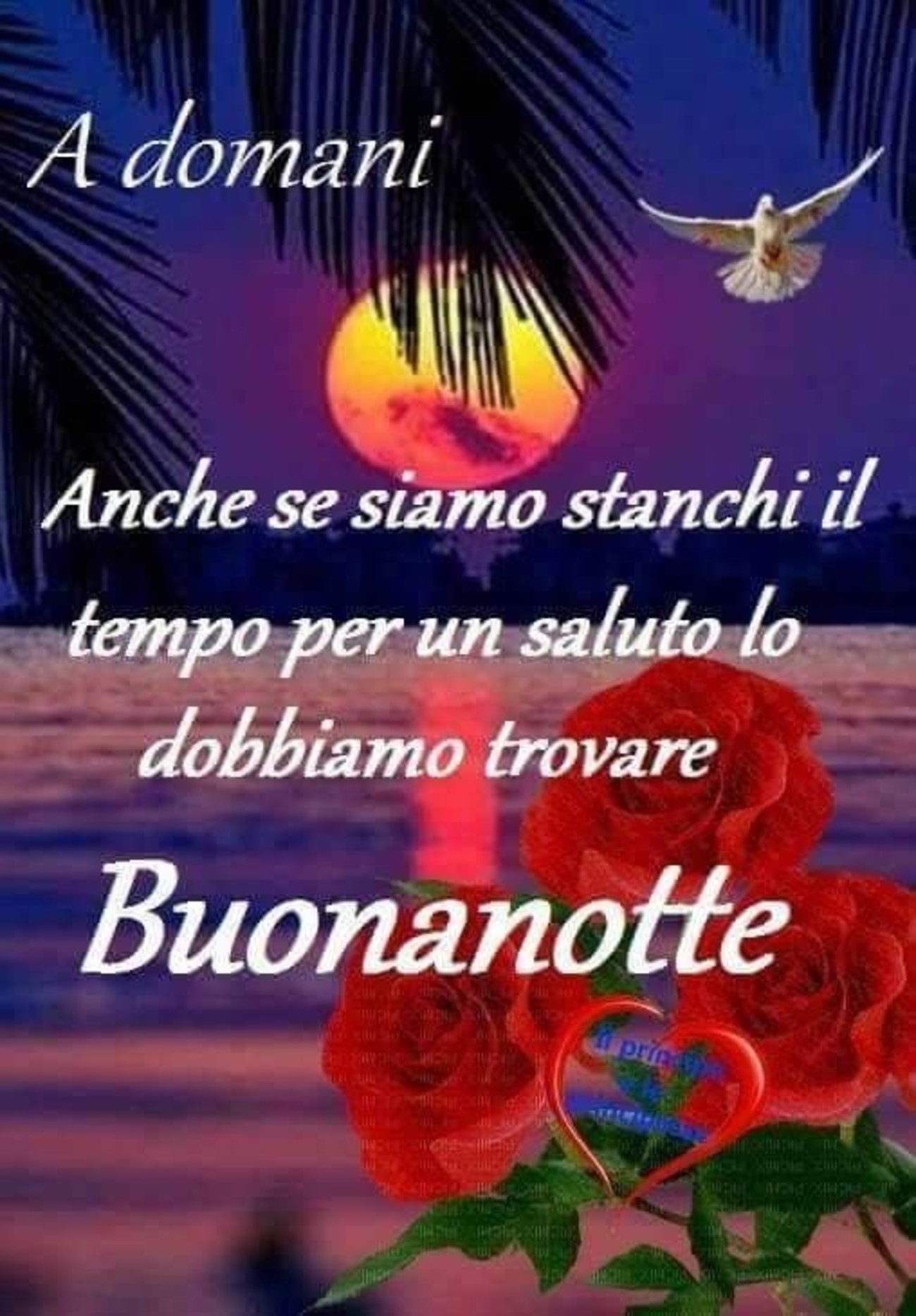 Buonanotte frasi