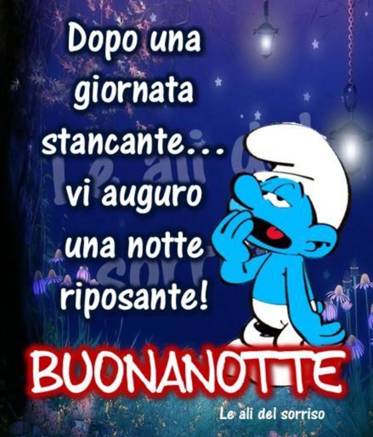 Buonanotte immagini (3)