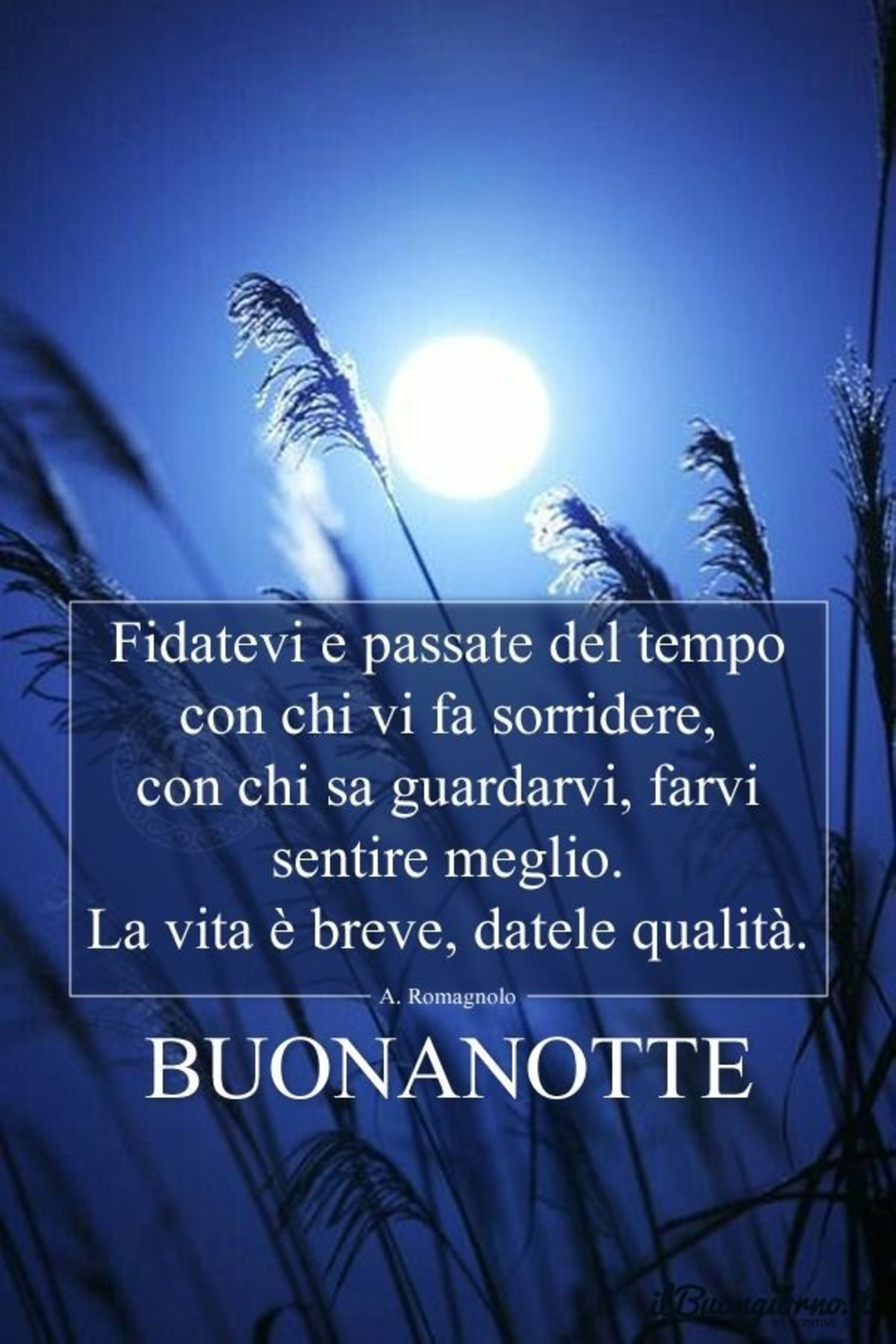 Buonanotte immagini con belle frasi