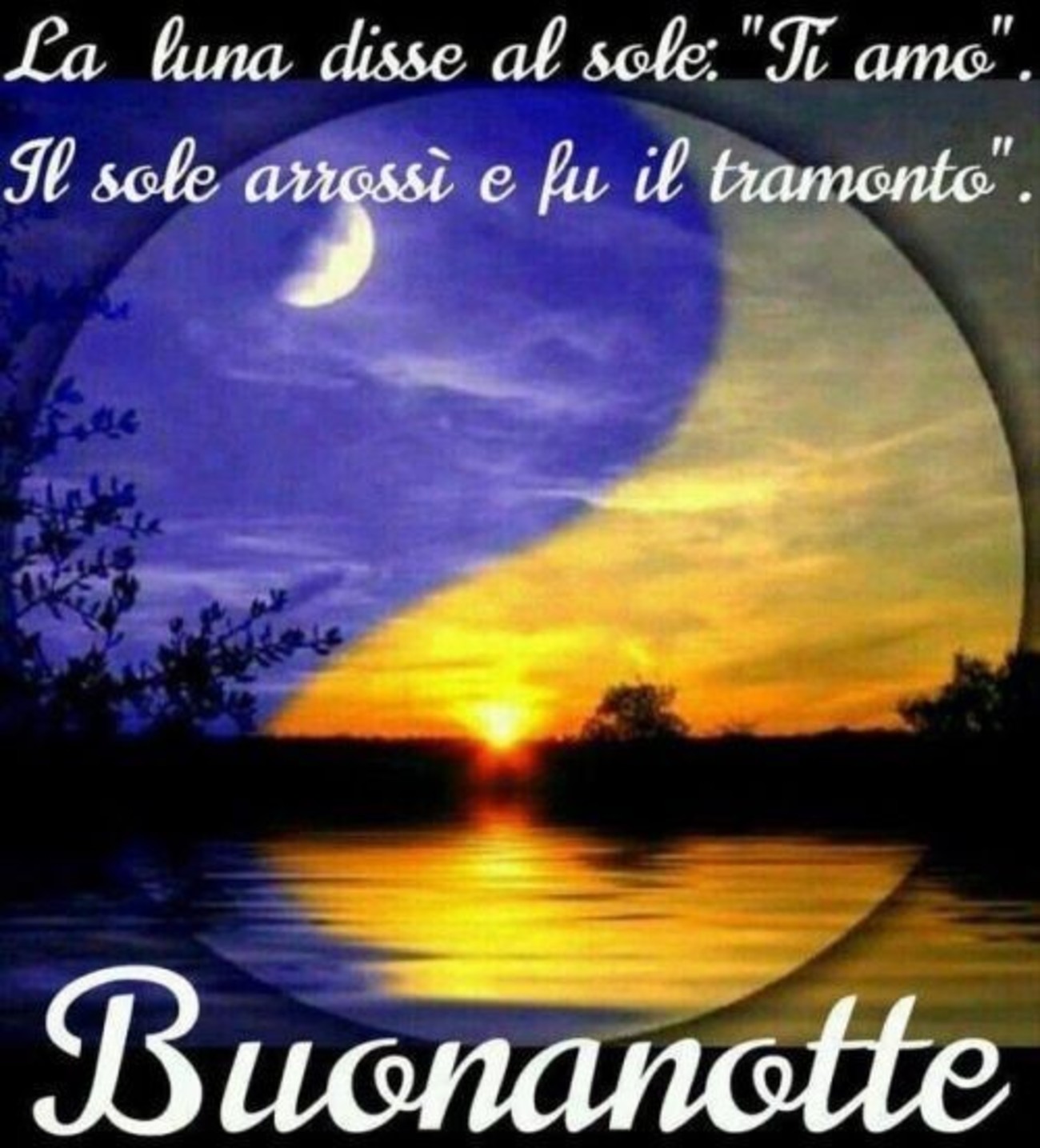 Buonanotte immagini con frasi bellissime