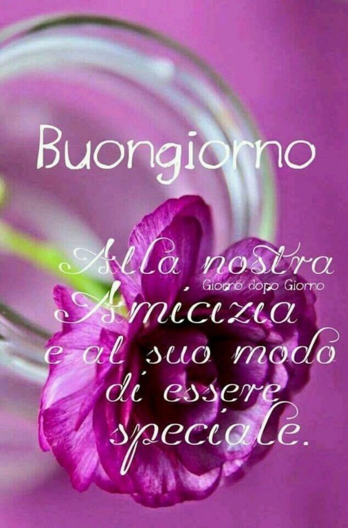 Buongiorno All Amicizia 2 Buongiornoate It