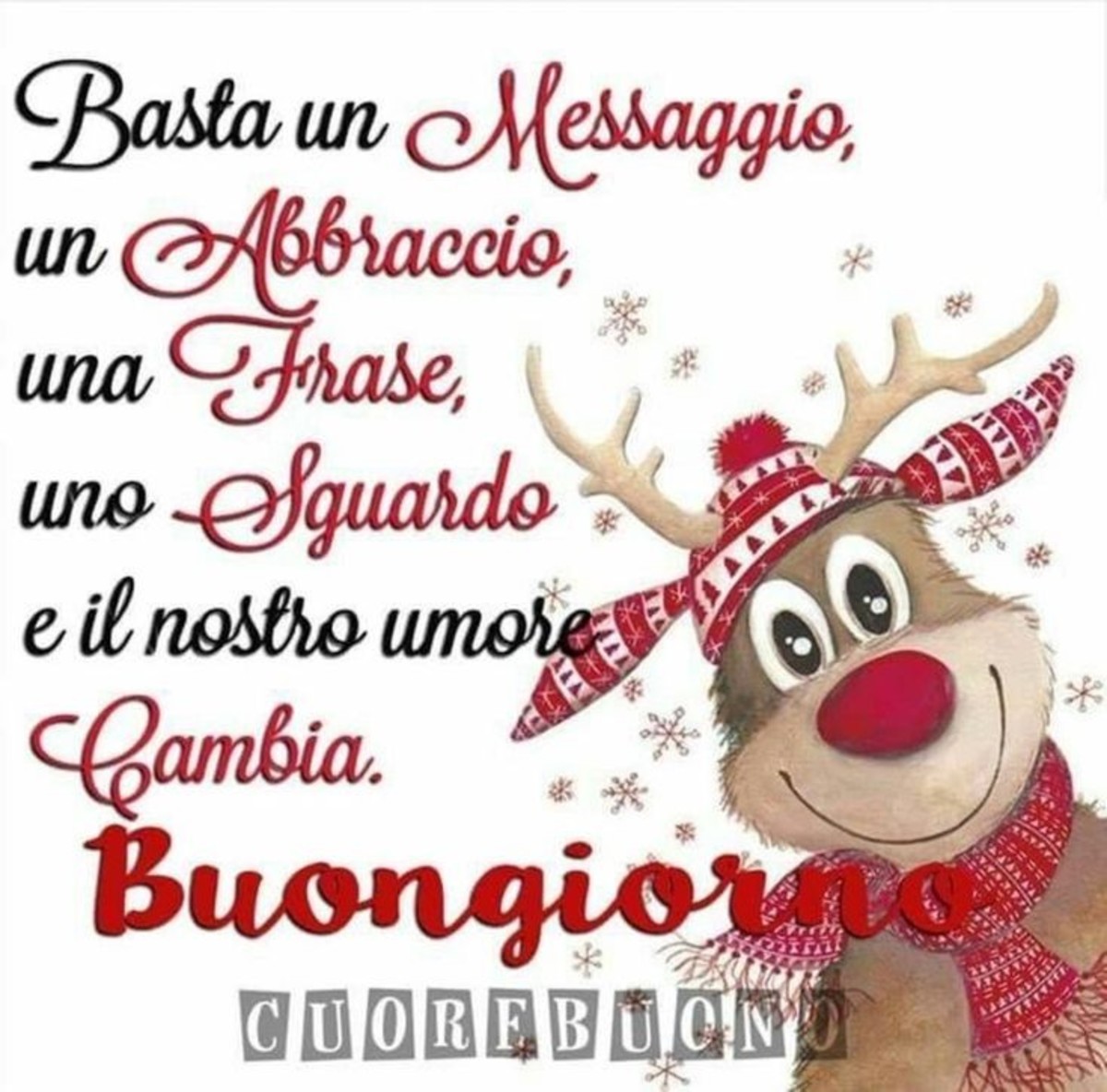 Buongiorno amici (2)