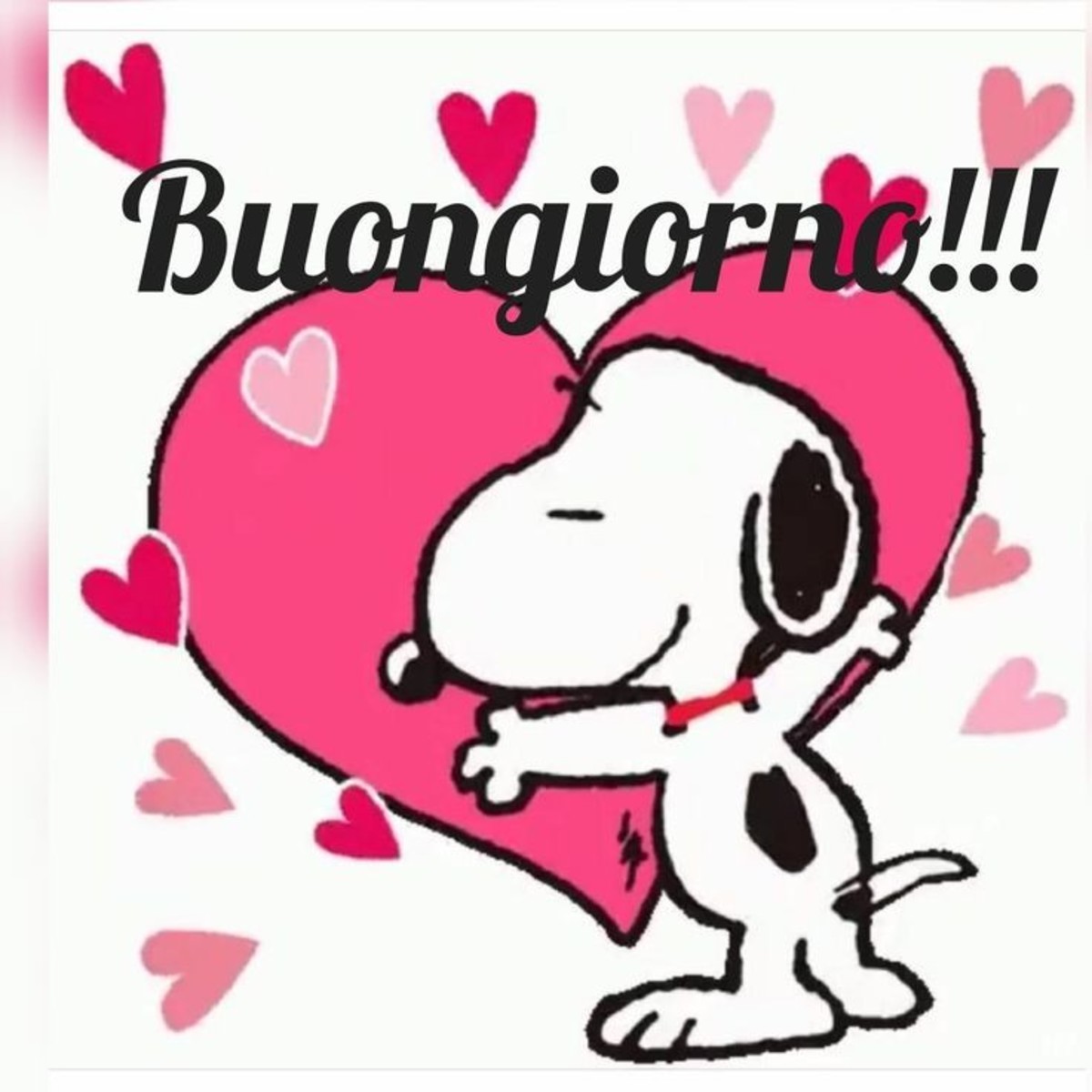 Buongiorno con Snoopy (4)