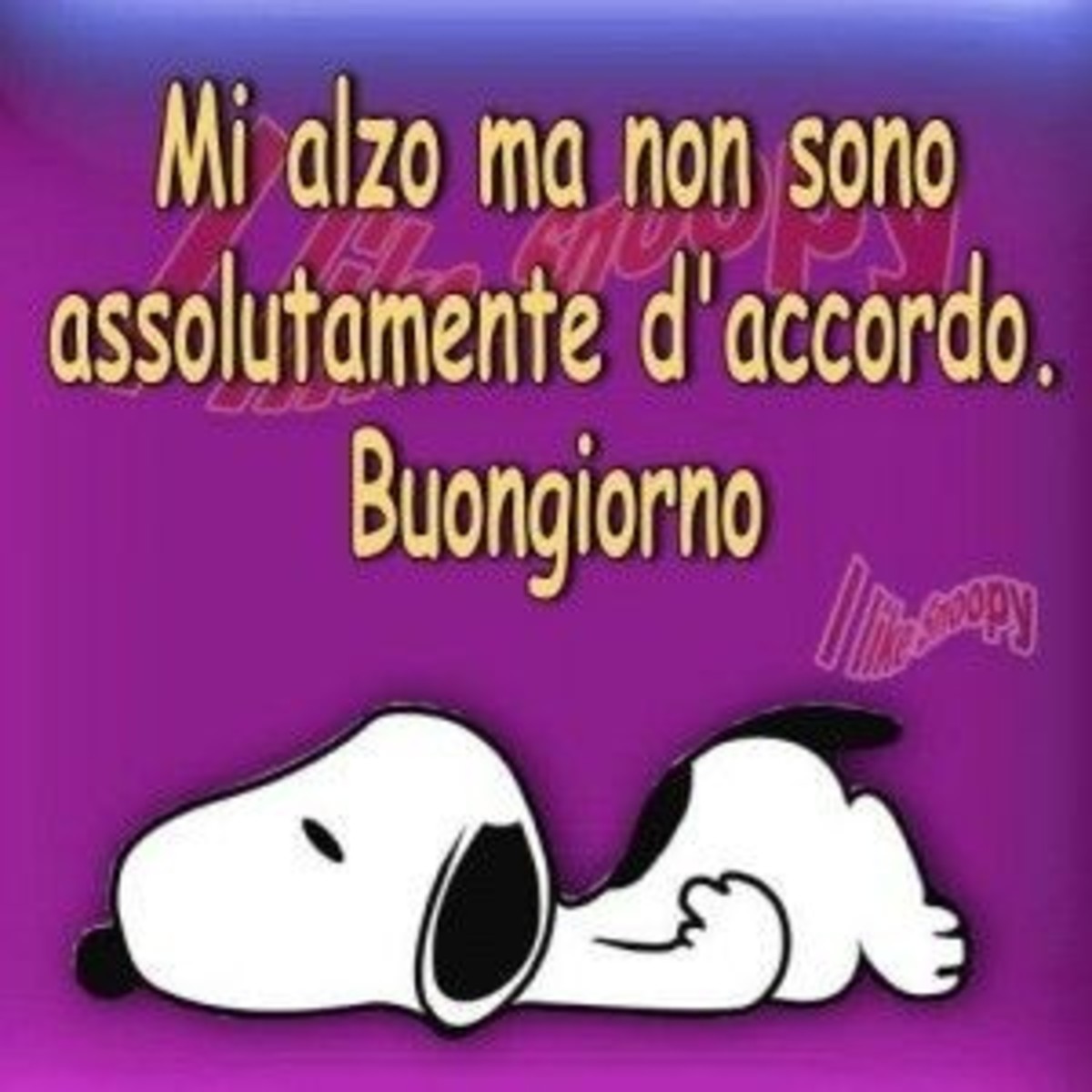 Buongiorno con Snoopy (6)