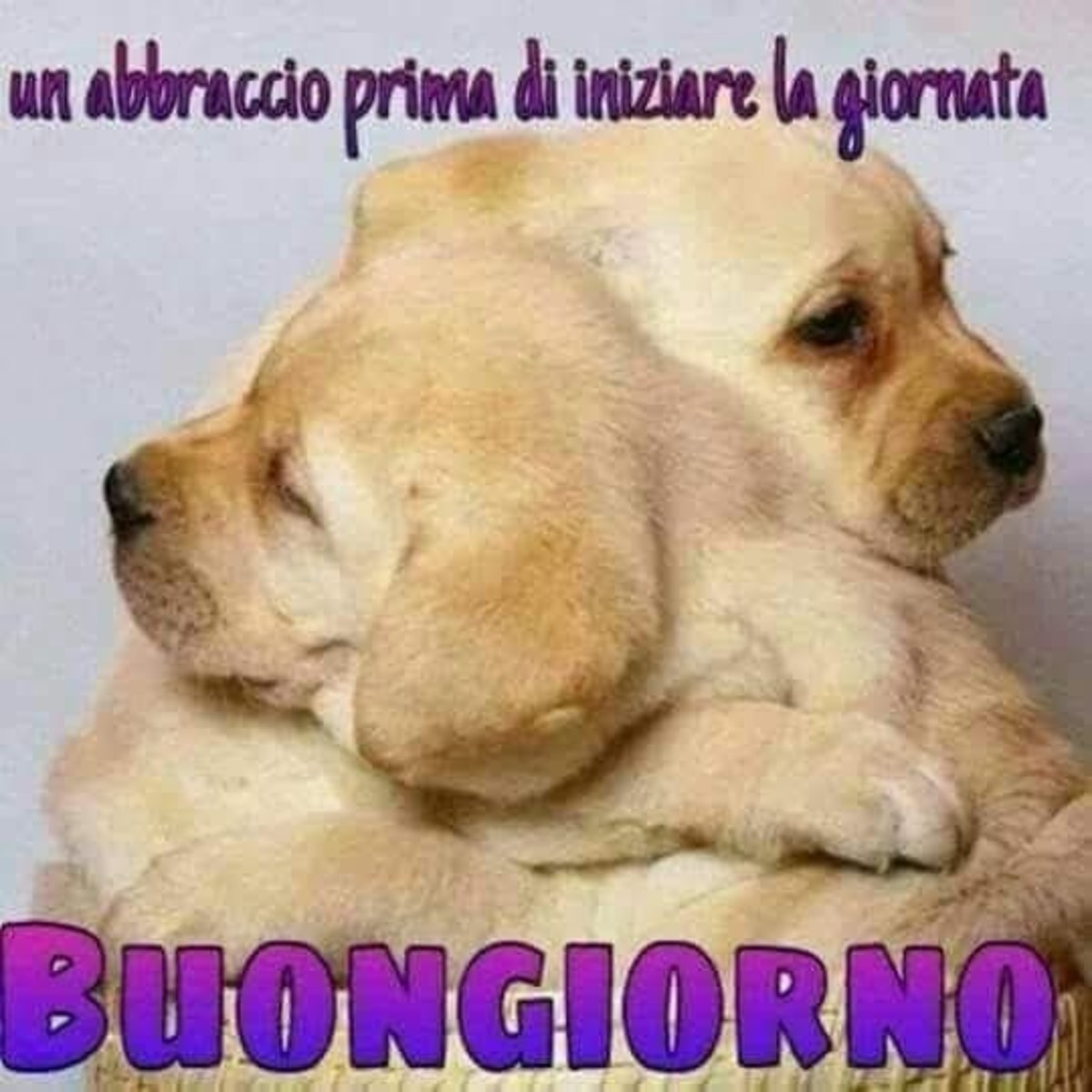 Buongiorno con abbraccio (4)