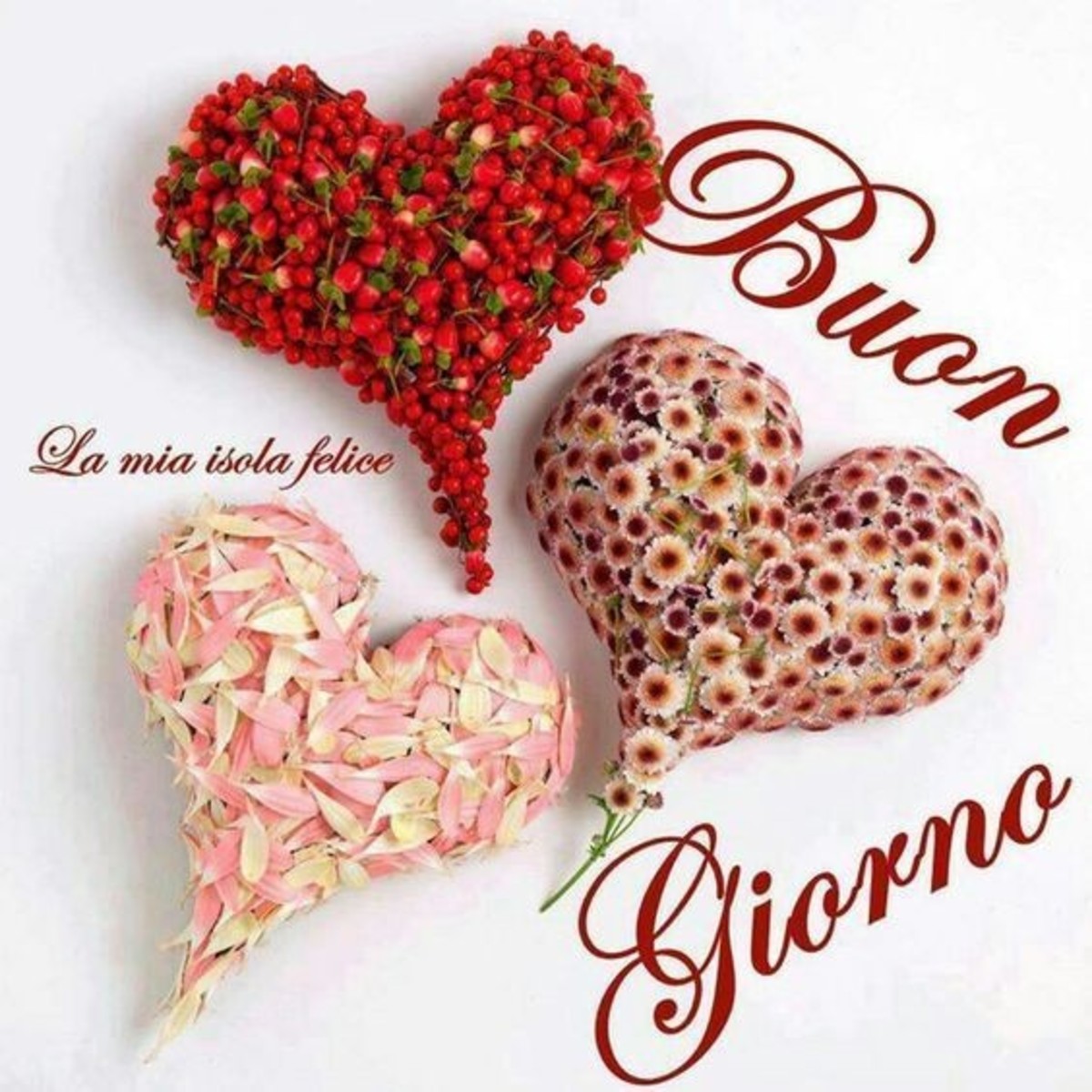 Buongiorno con amore (5)