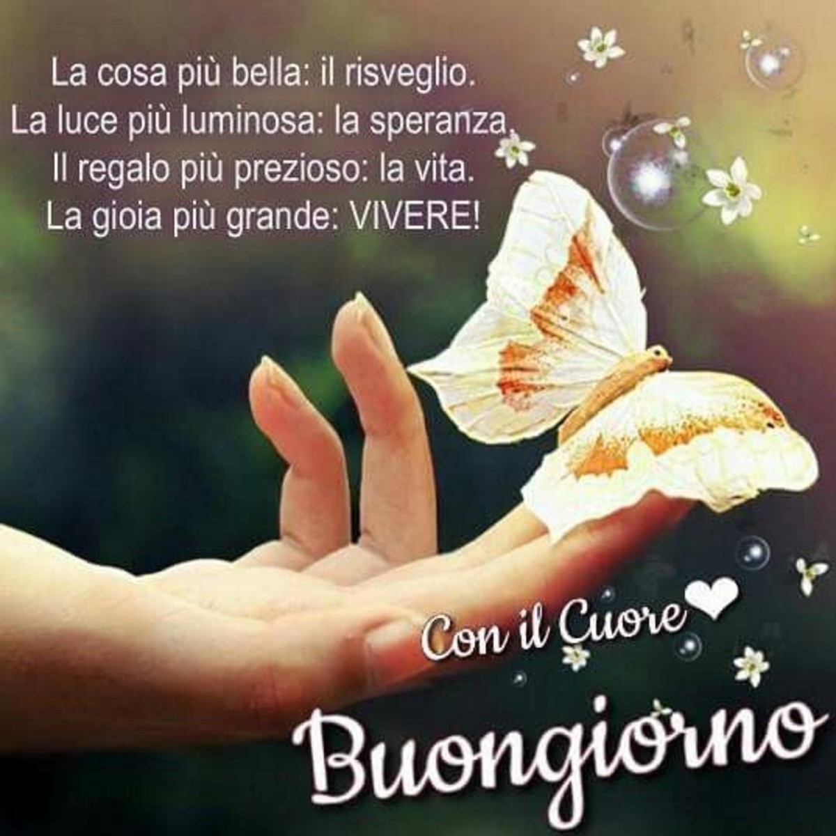 Buongiorno con amore (7)