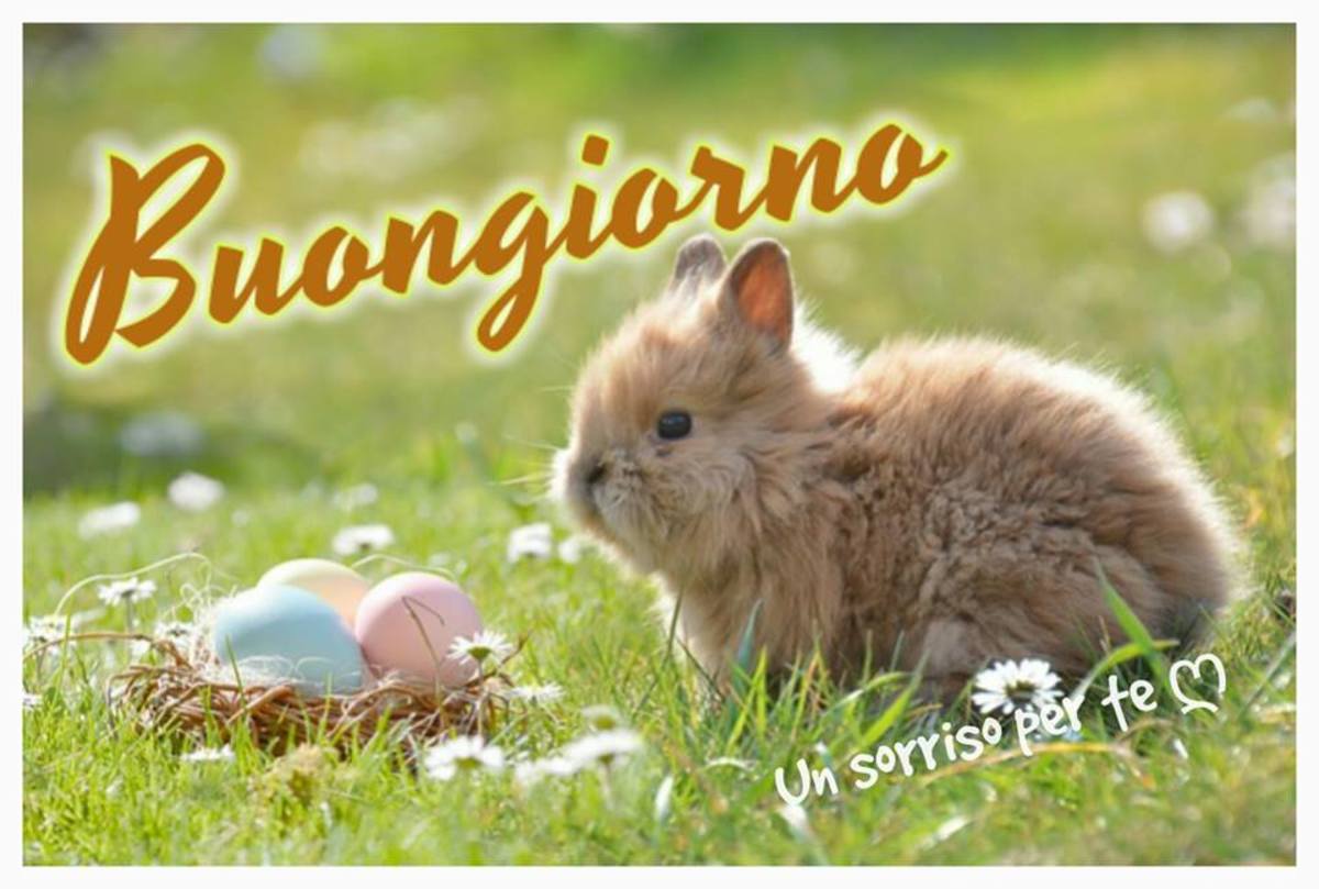 Buongiorno con animali (3)