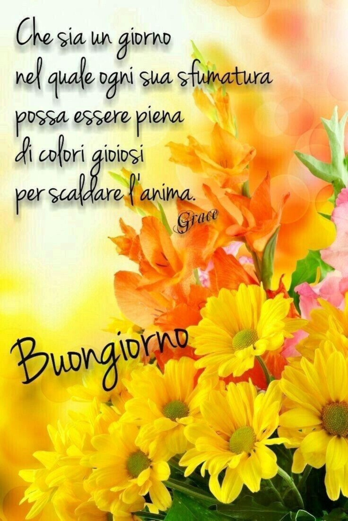 Buongiorno con bei fiori (2)