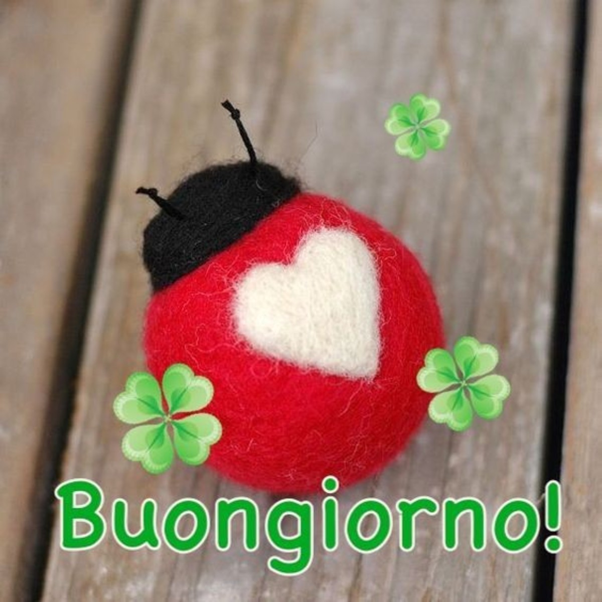 Buongiorno con fortuna