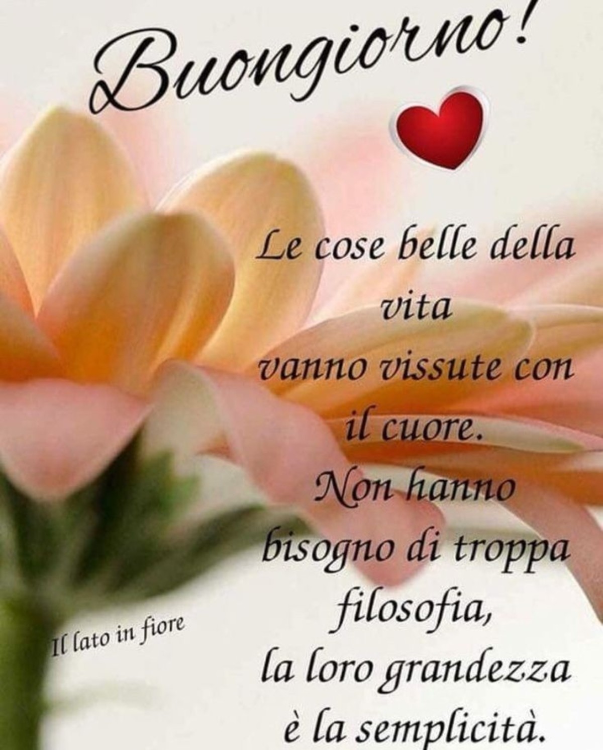 Buongiorno con frasi belle