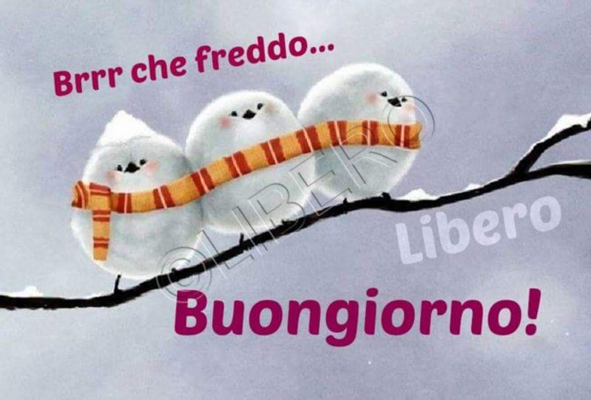 Buongiorno con il freddo (1)