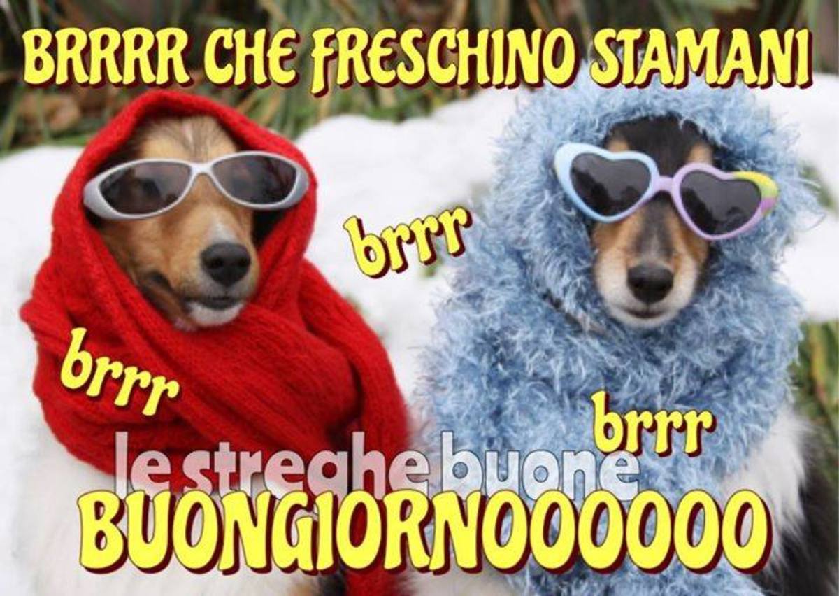 Buongiorno con il freddo (3)