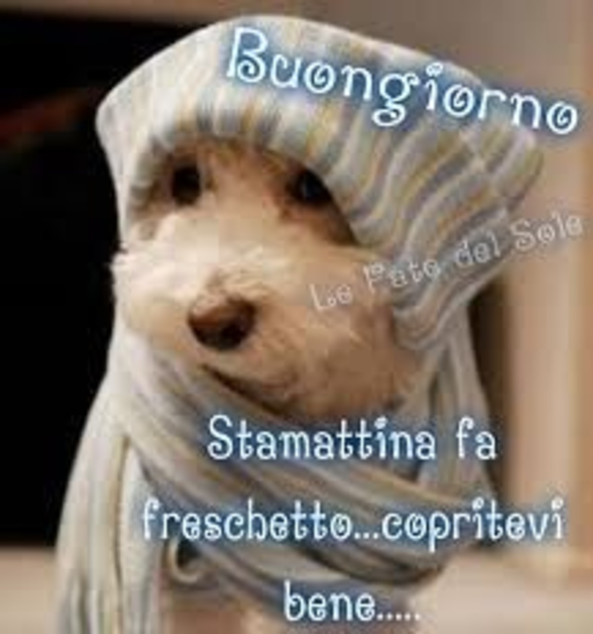 Buongiorno con il freddo