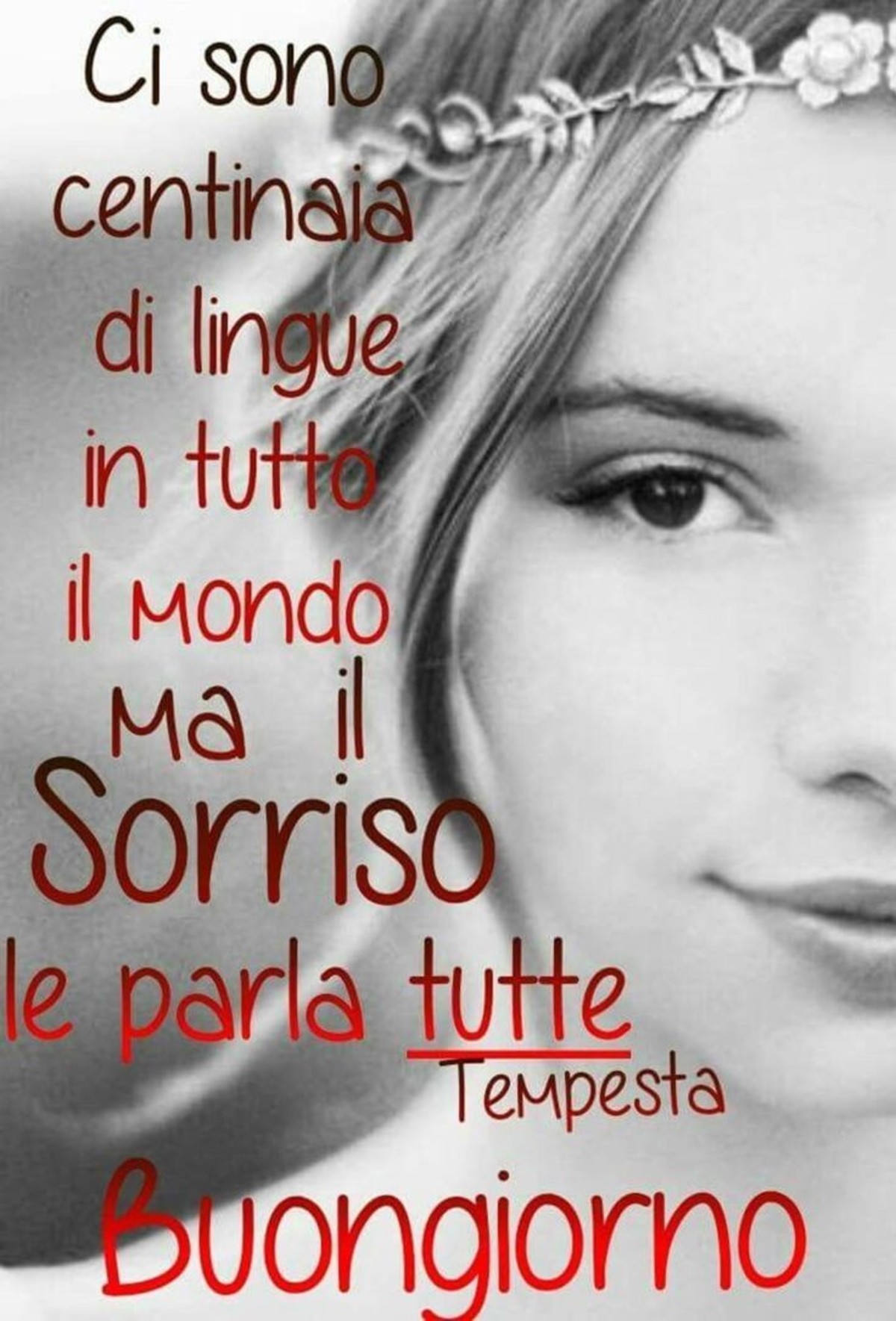 Buongiorno Con Il Sorriso 4 Buongiornoate It