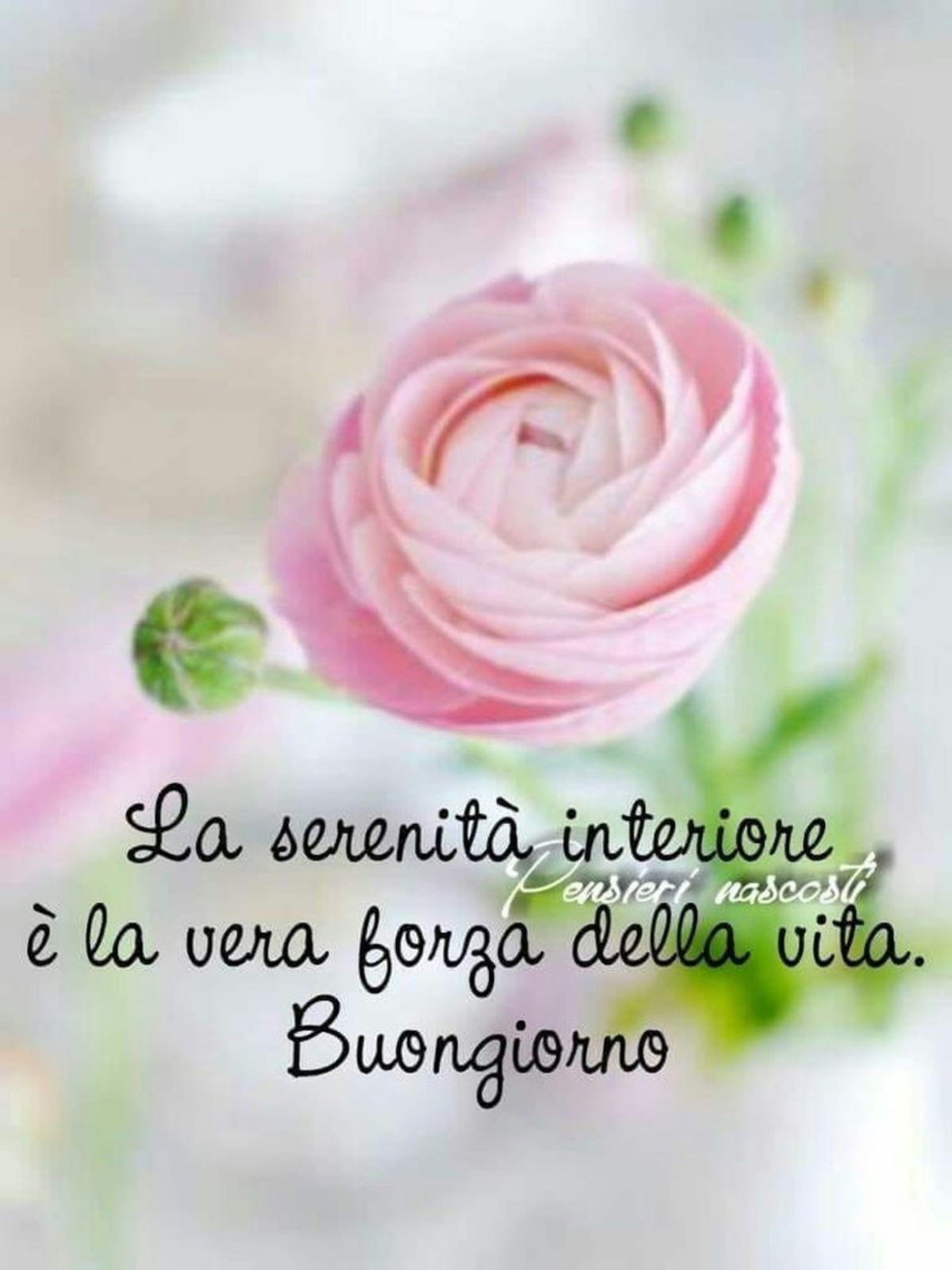 Buongiorno con serenità