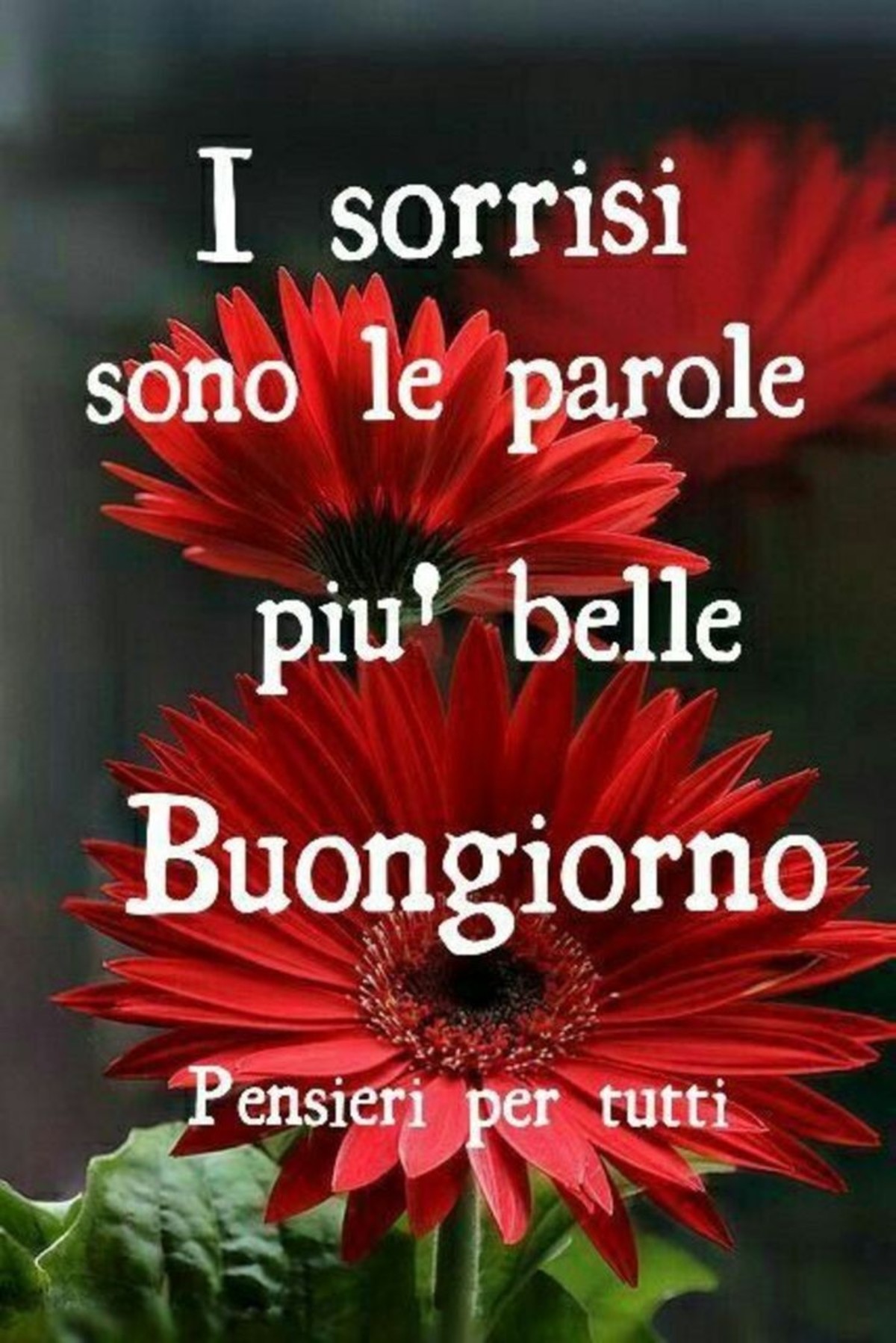 Buongiorno Con Sorriso Buongiornoate It