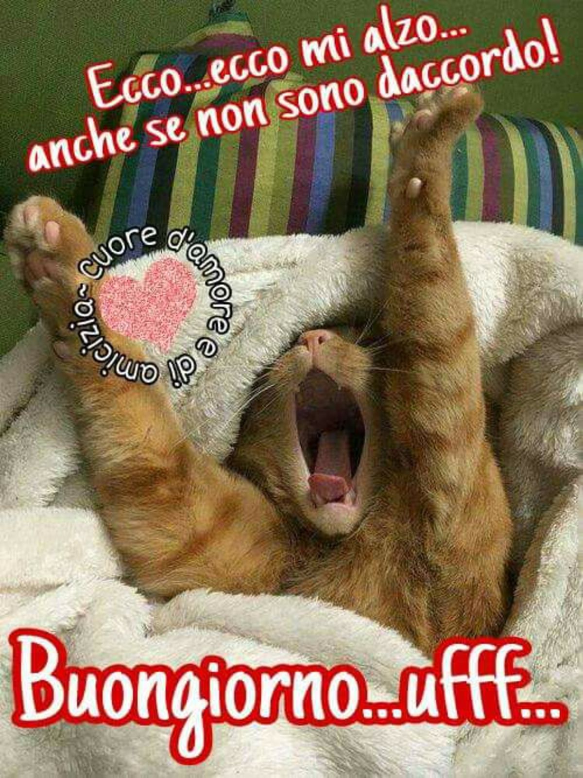 Buongiorno da ridere (4)