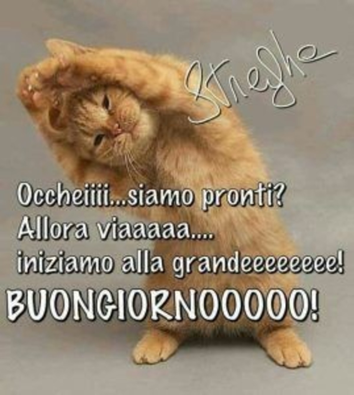 Buongiorno divertenti immagini