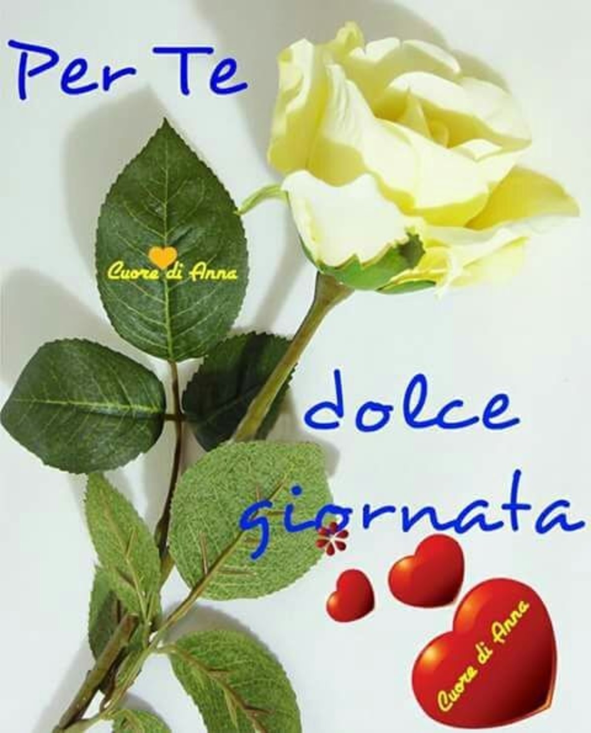 Buongiorno dolce (2)