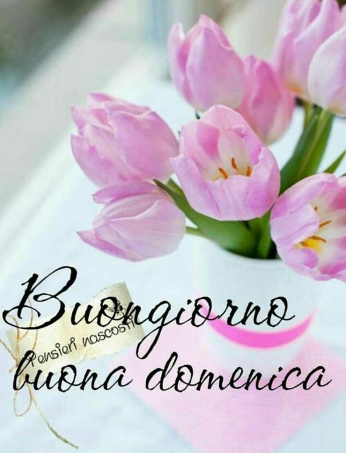 Buongiorno floreale (1)