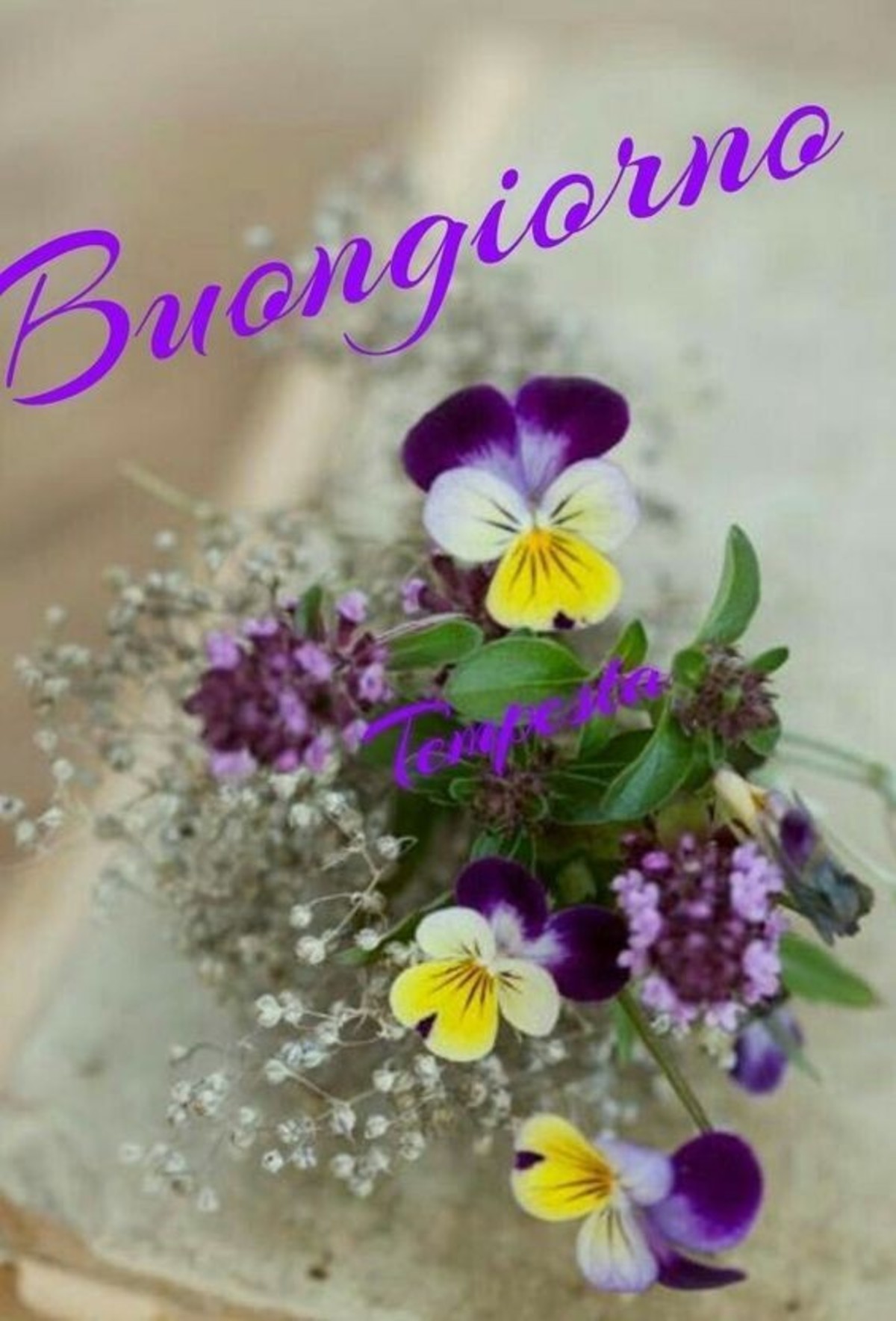 Buongiorno floreale immagini nuove (1)