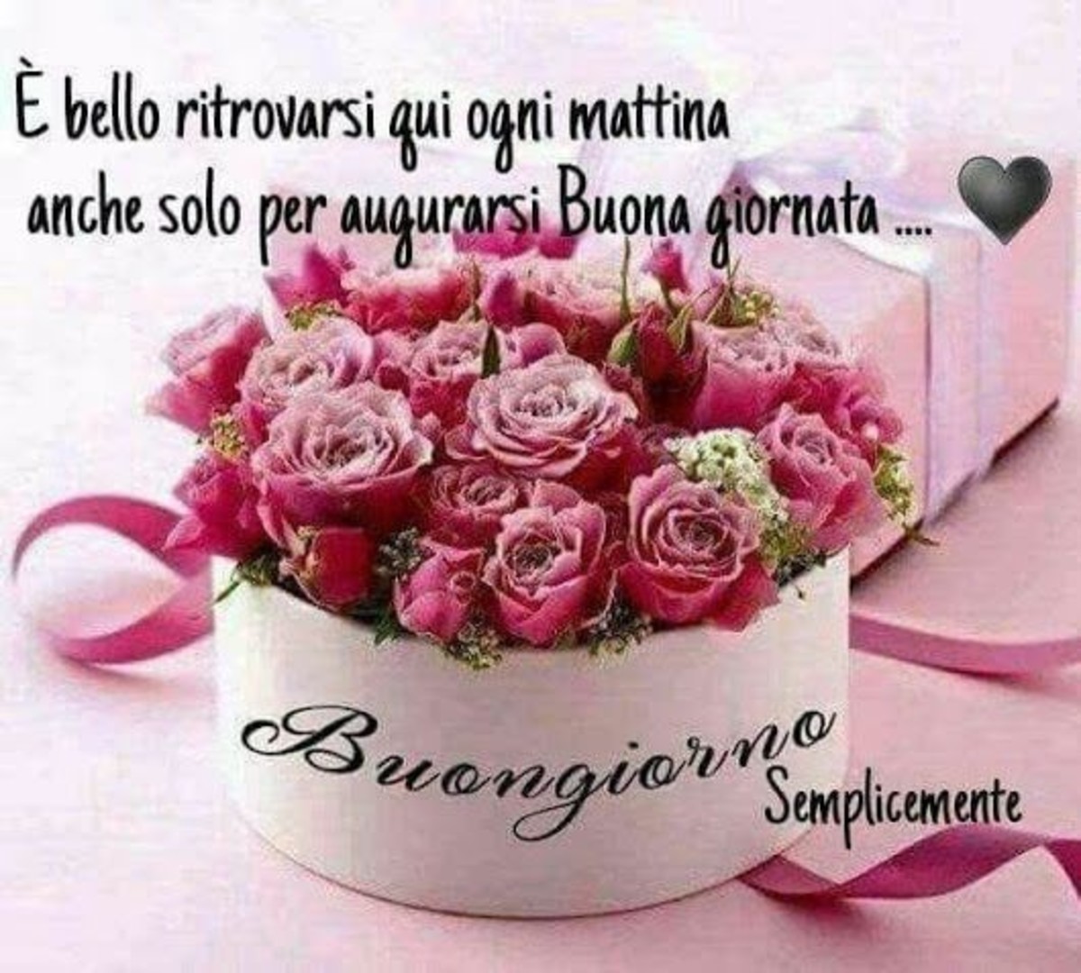 Buongiorno floreale immagini nuove (3)