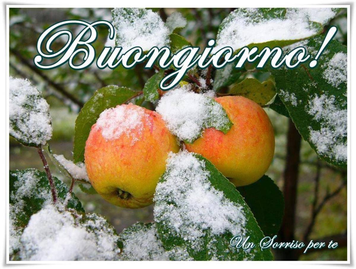 Buongiorno immagini belle da scaricare gratis (5)