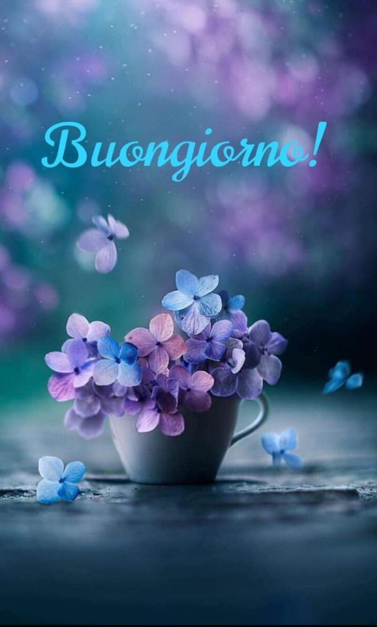 Buongiorno immagini belle