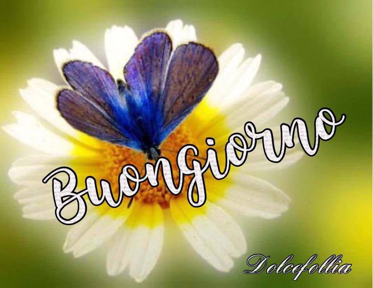 Buongiorno immagini bellissime (2)