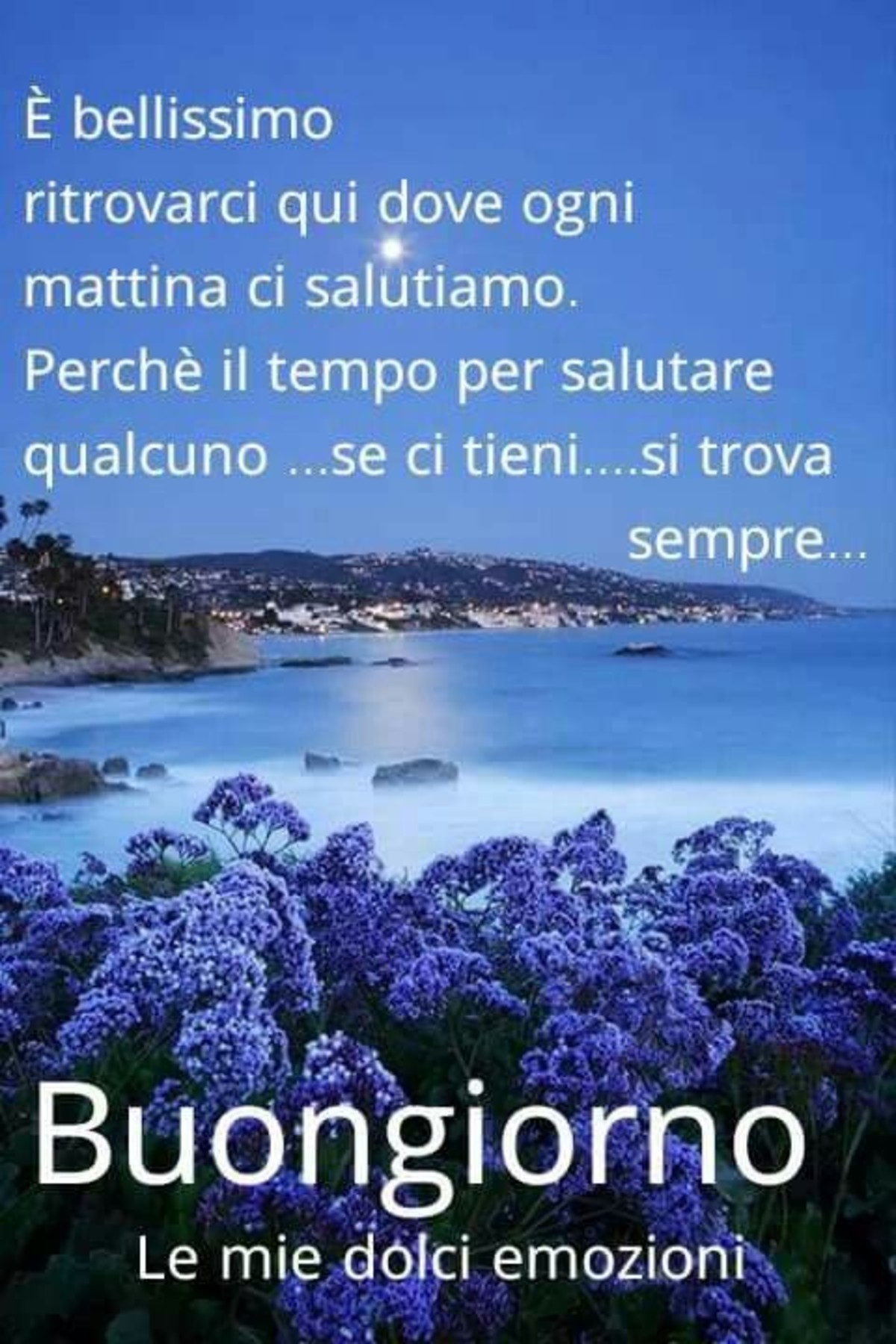 Buongiorno immagini con belle frasi