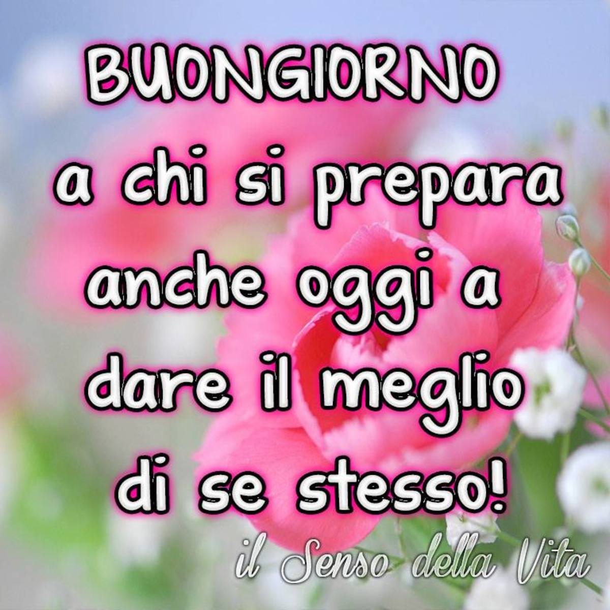 Buongiorno immagini con frasi belle