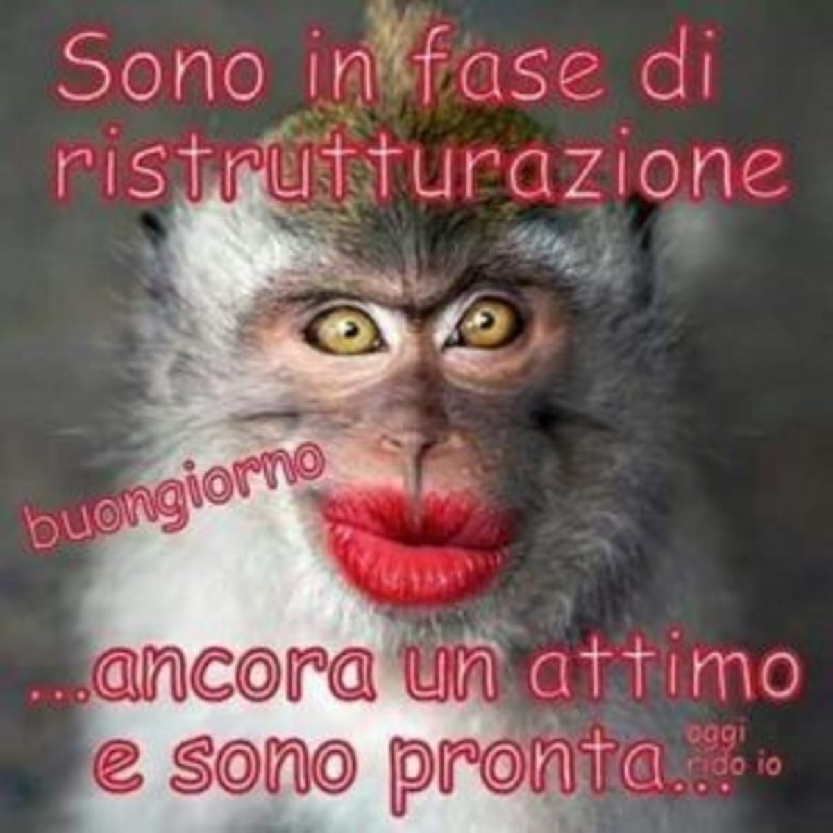 Buongiorno immagini da ridere (3)