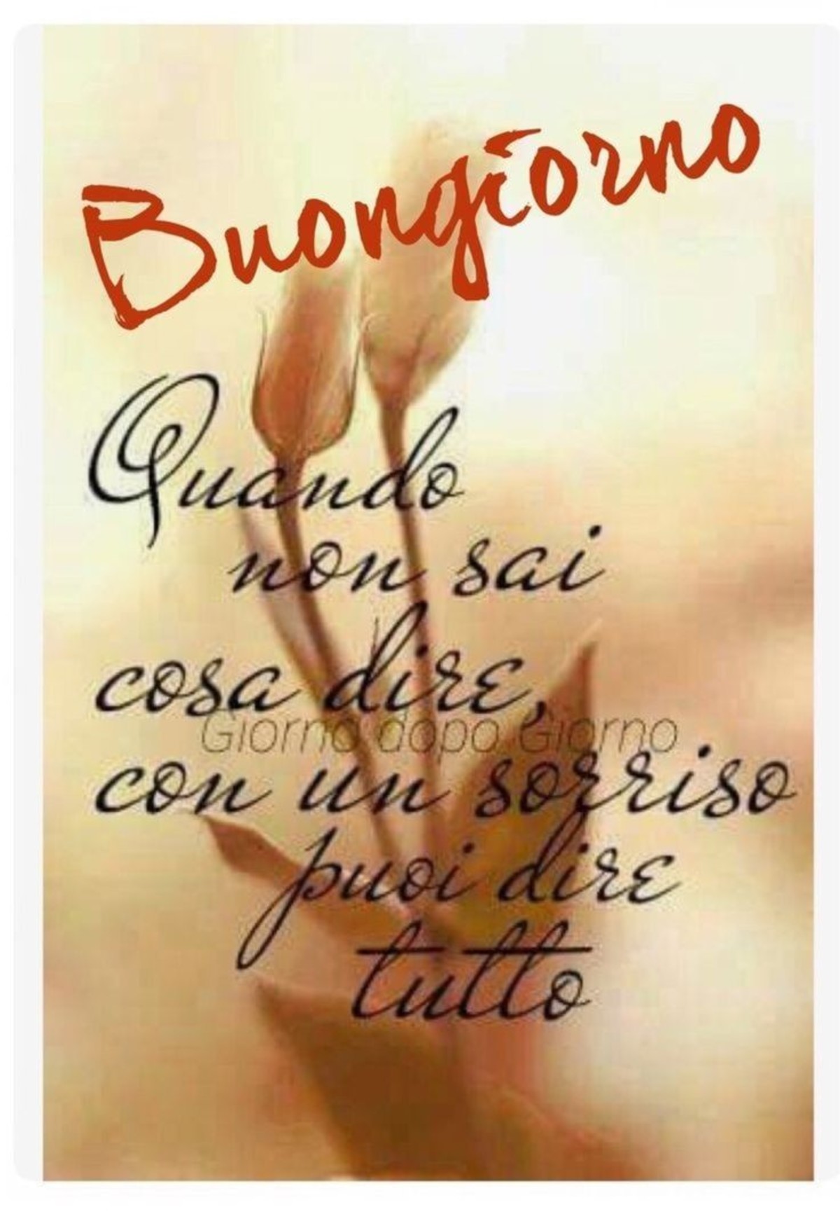 Buongiorno immagini nuove da mandare su whatsapp (2)