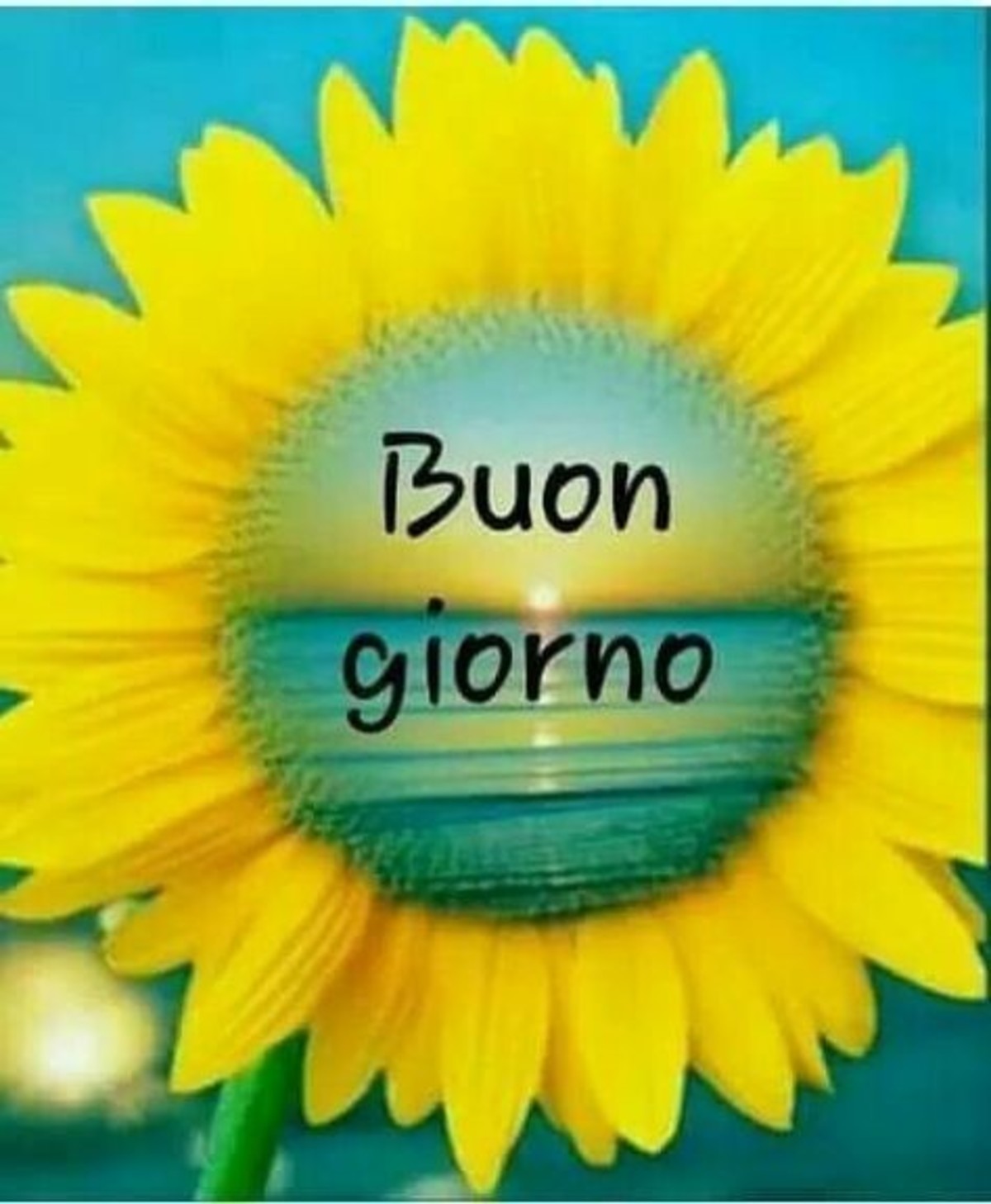 Buongiorno solare