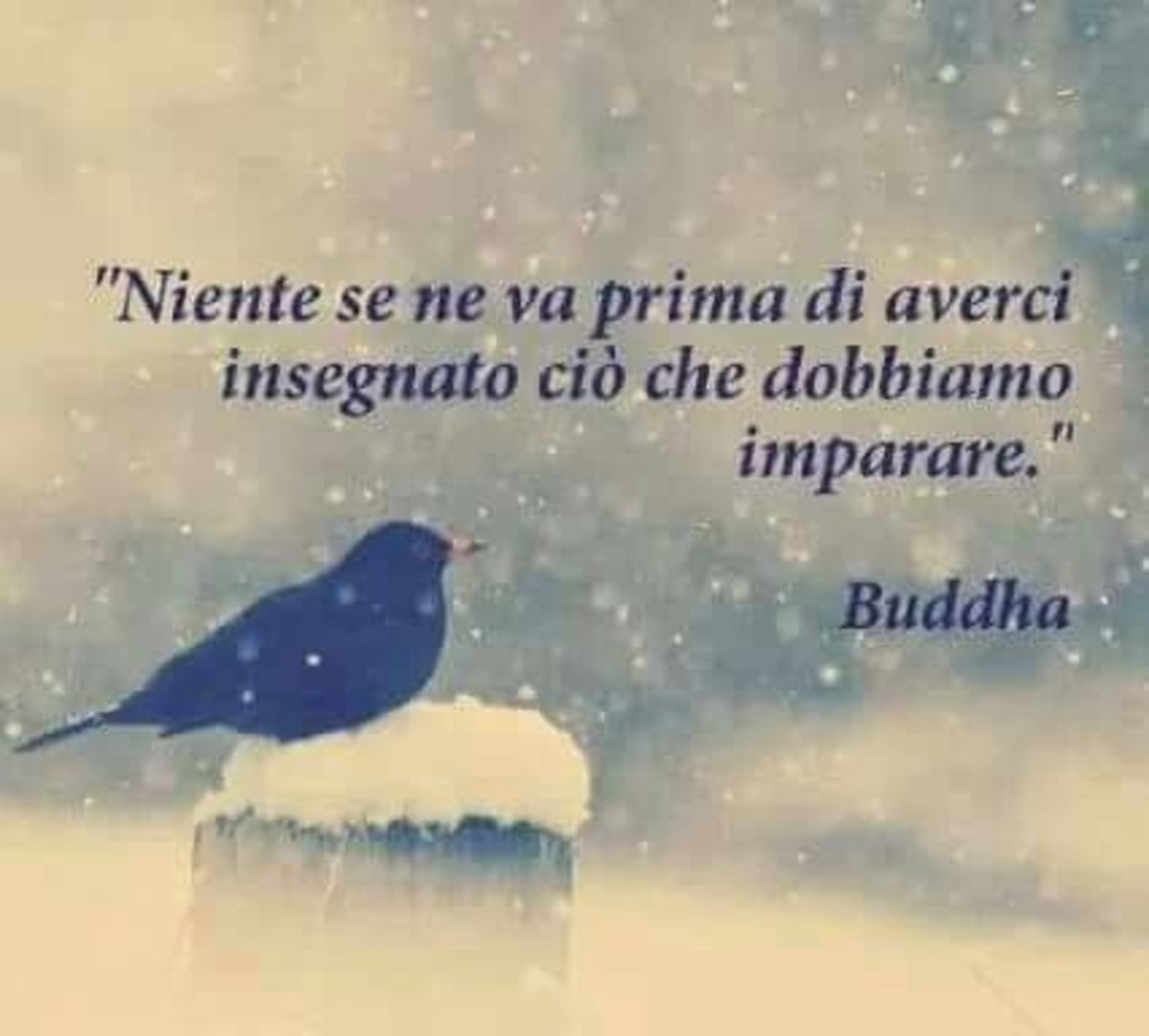 Citazioni di Buddha