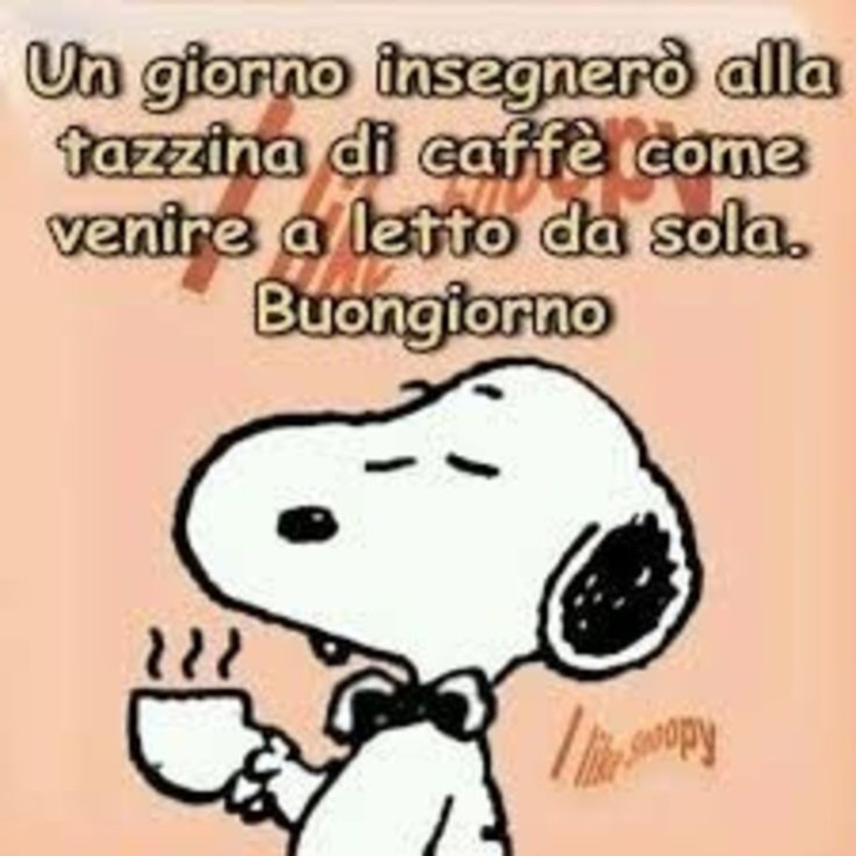 Divertente buongiorno con Snoopy (2)