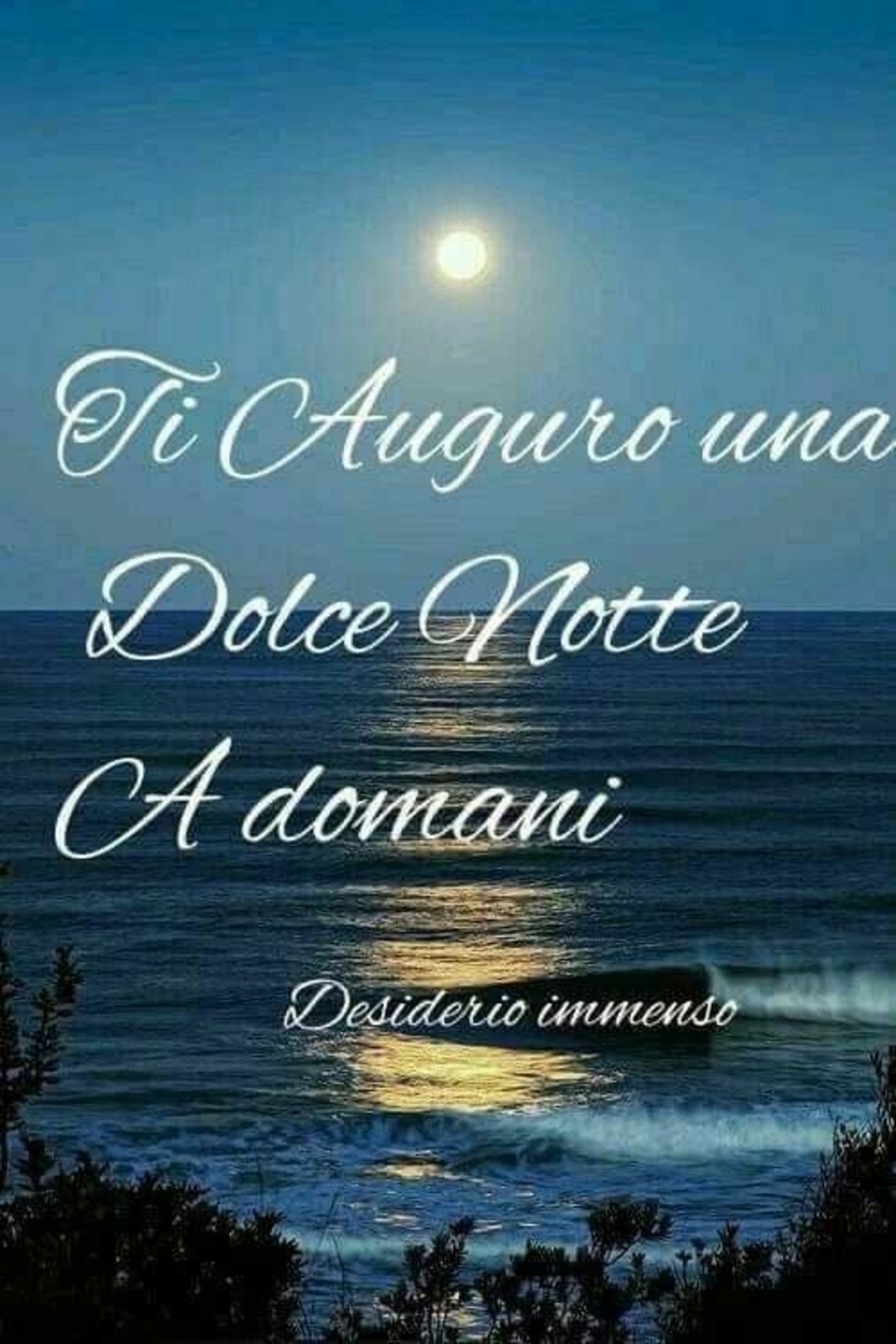 Dolce notte a domani (2)