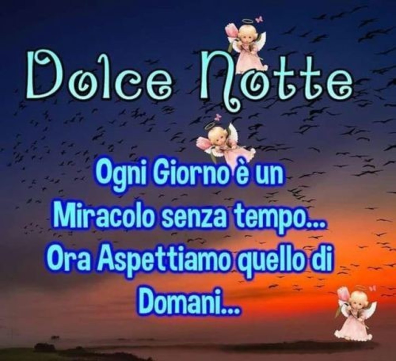 Dolce notte a domani